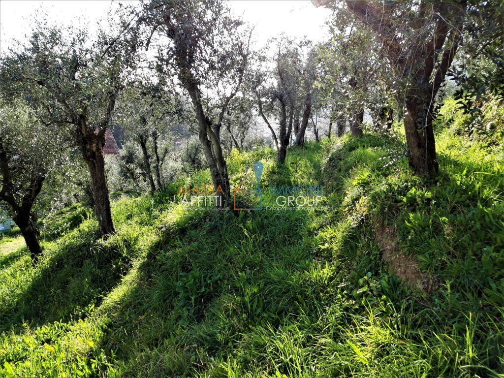 Terreno Agricolo da ristrutturare in viale xx settembre 10, Carrara