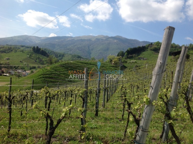 Terreno Agricolo in vendita in via dell'uva 6-10, Massa
