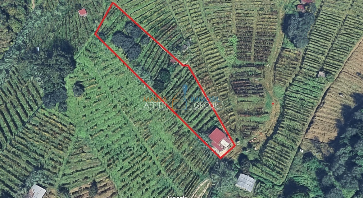 Terreno Agricolo in vendita in via del pozzo 2, Massa