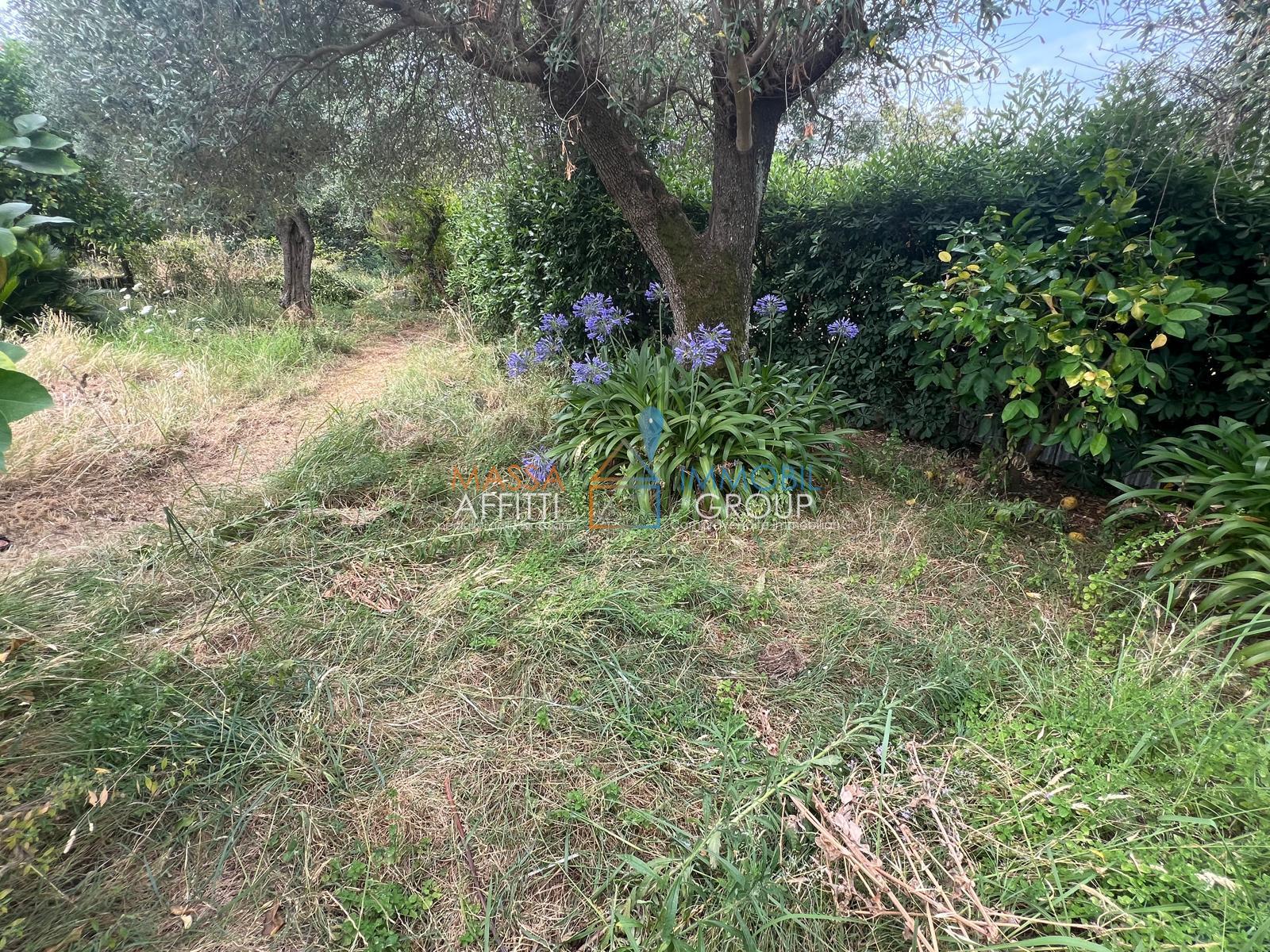 Terreno Agricolo in vendita in via san giuseppe vecchio 37, Massa