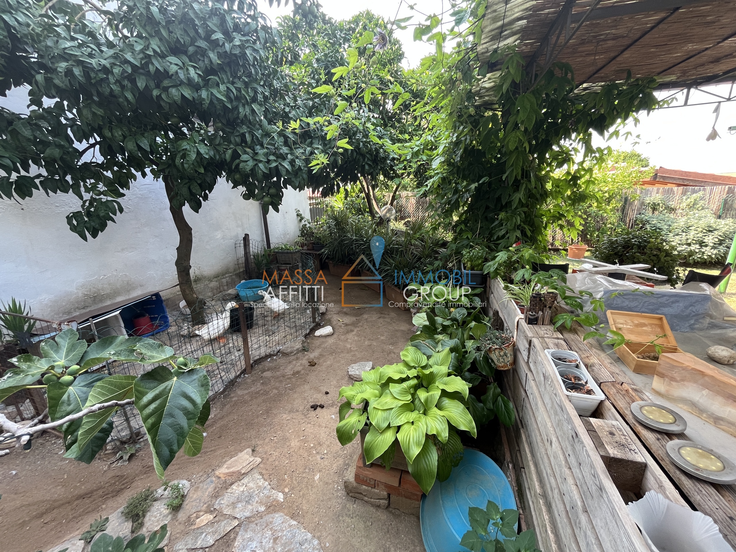 Casa indipendente con giardino in via ripa 37, Massa
