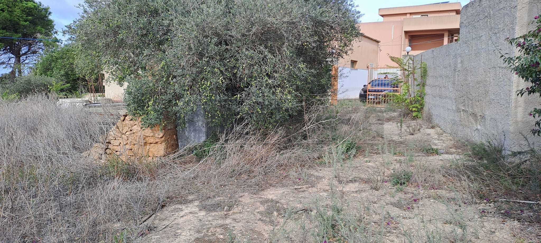 immagine annuncio 3 di 6