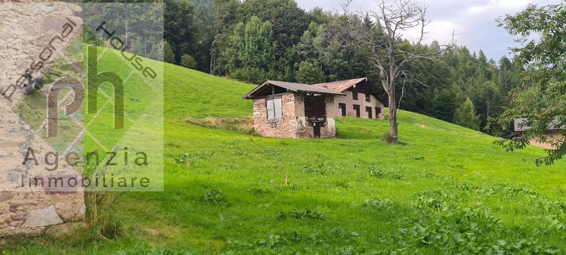 Casa singola in vendita a Castel Condino