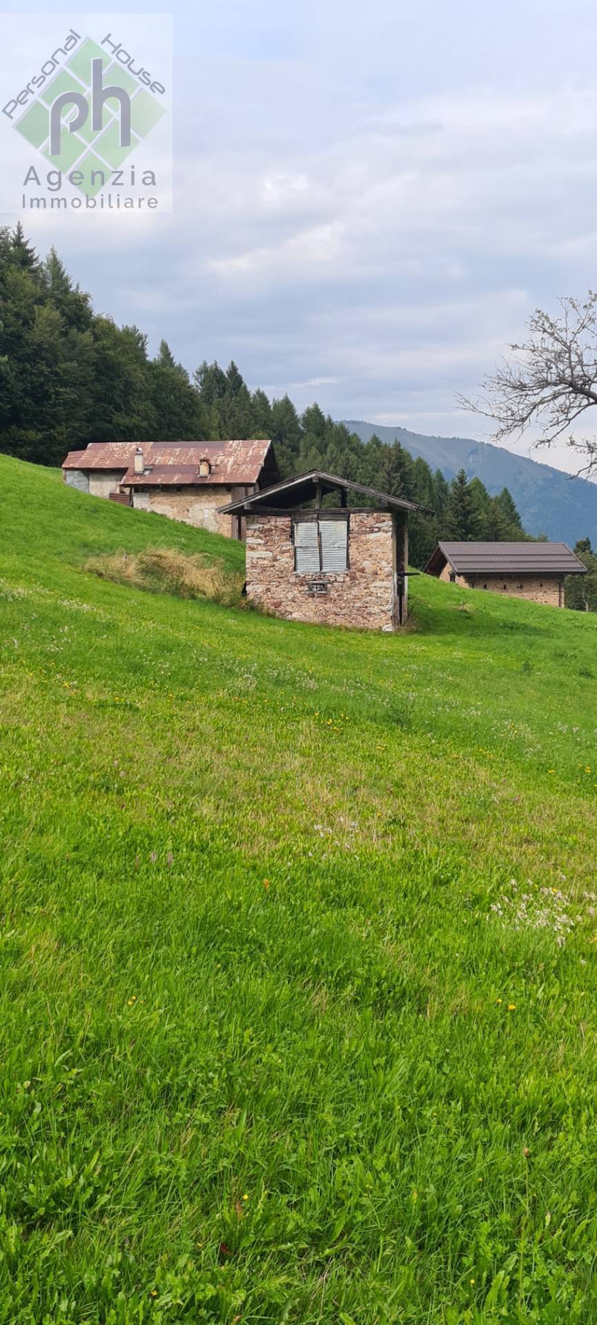 Casa singola in vendita a Castel Condino