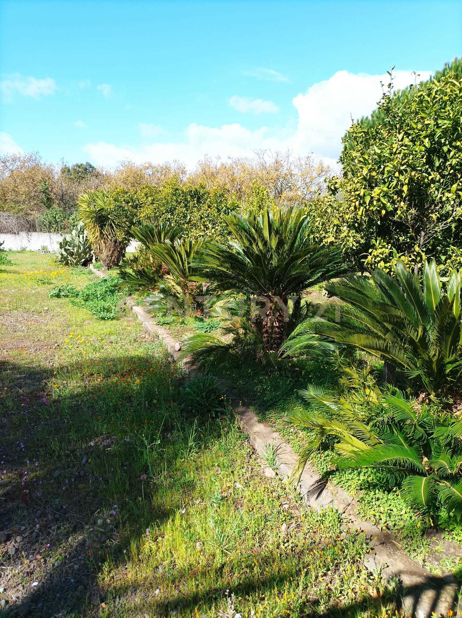 Terreno Agricolo in vendita in via beato angelico 36, Mascalucia