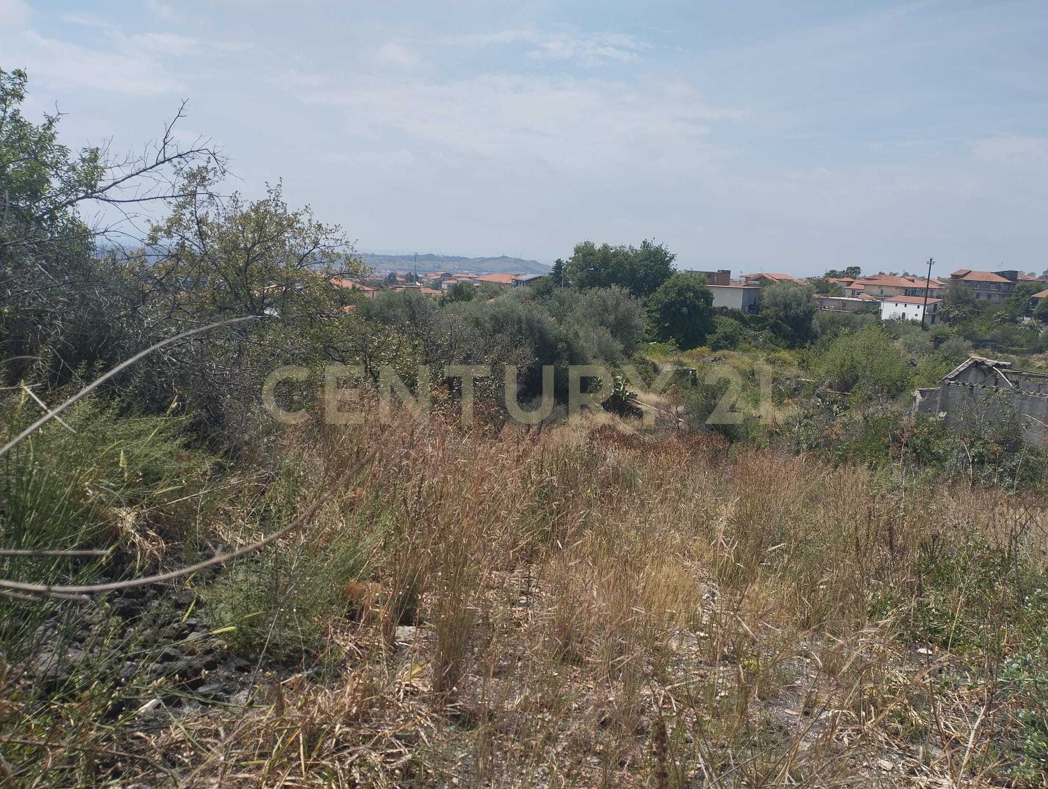Terreno Agricolo in vendita in contrada mangione snc, Catania