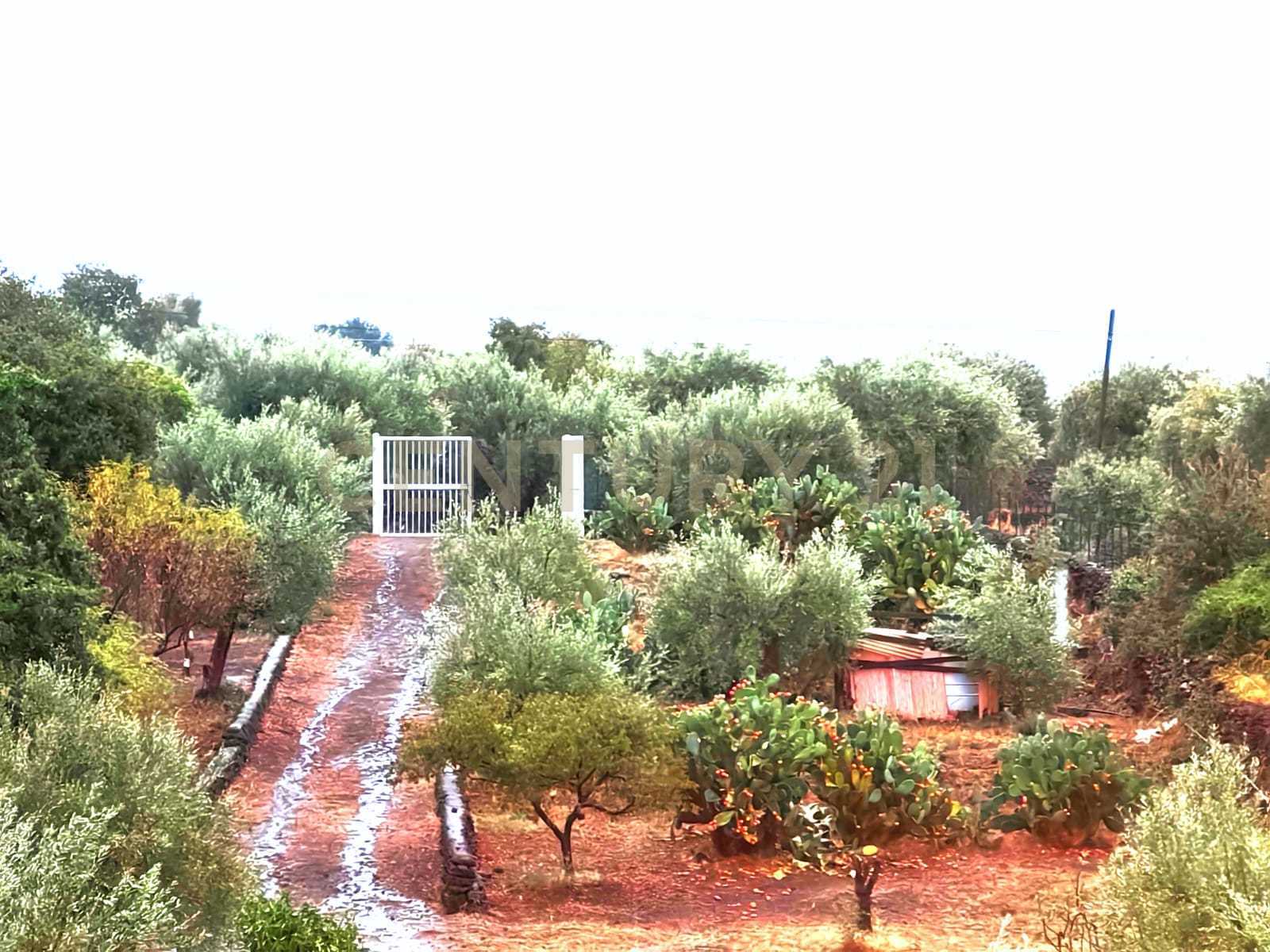Terreno Agricolo in vendita in via calatafimi 73, Belpasso
