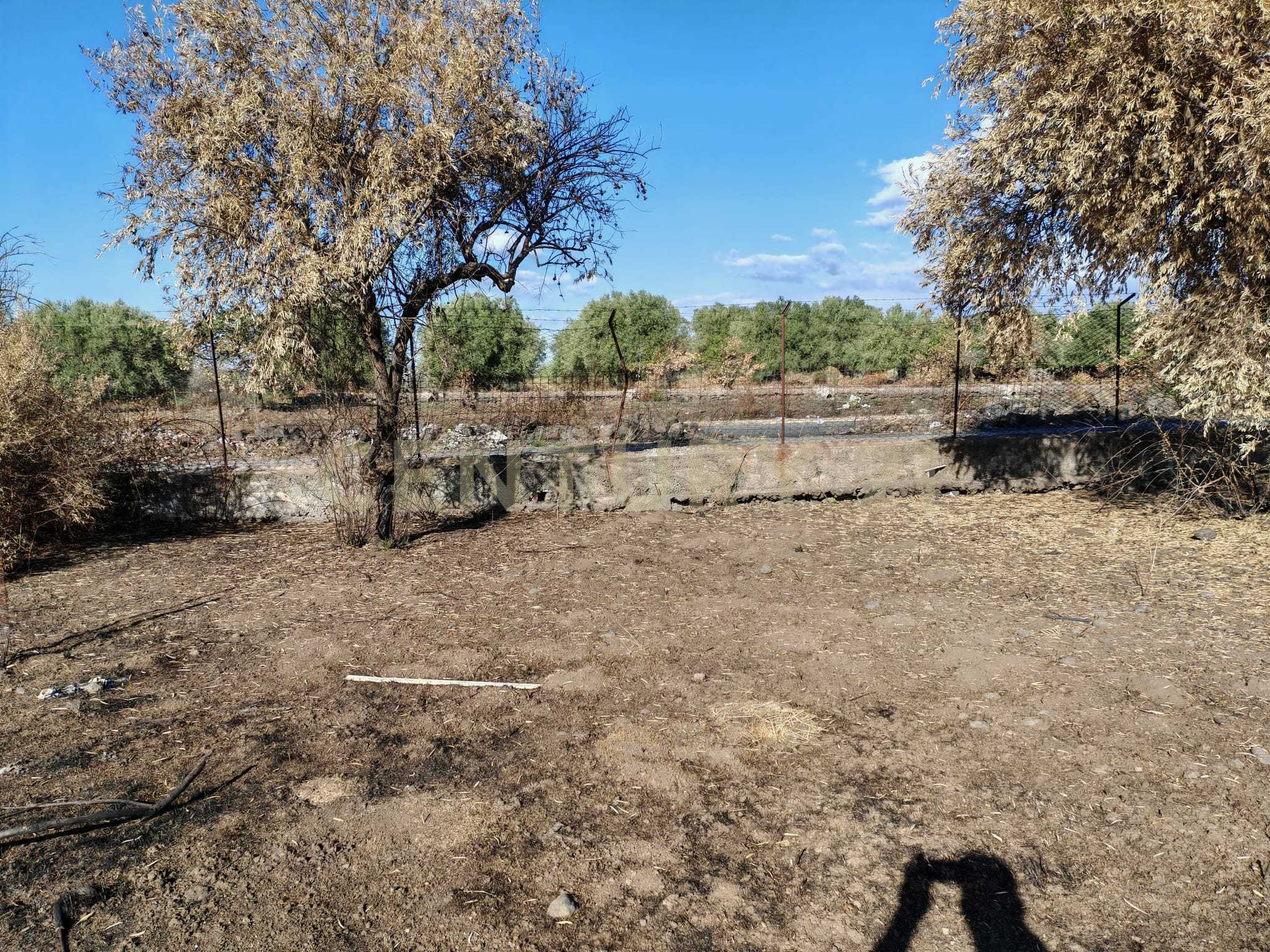Terreno Agricolo in vendita in via friscia 50, Misterbianco