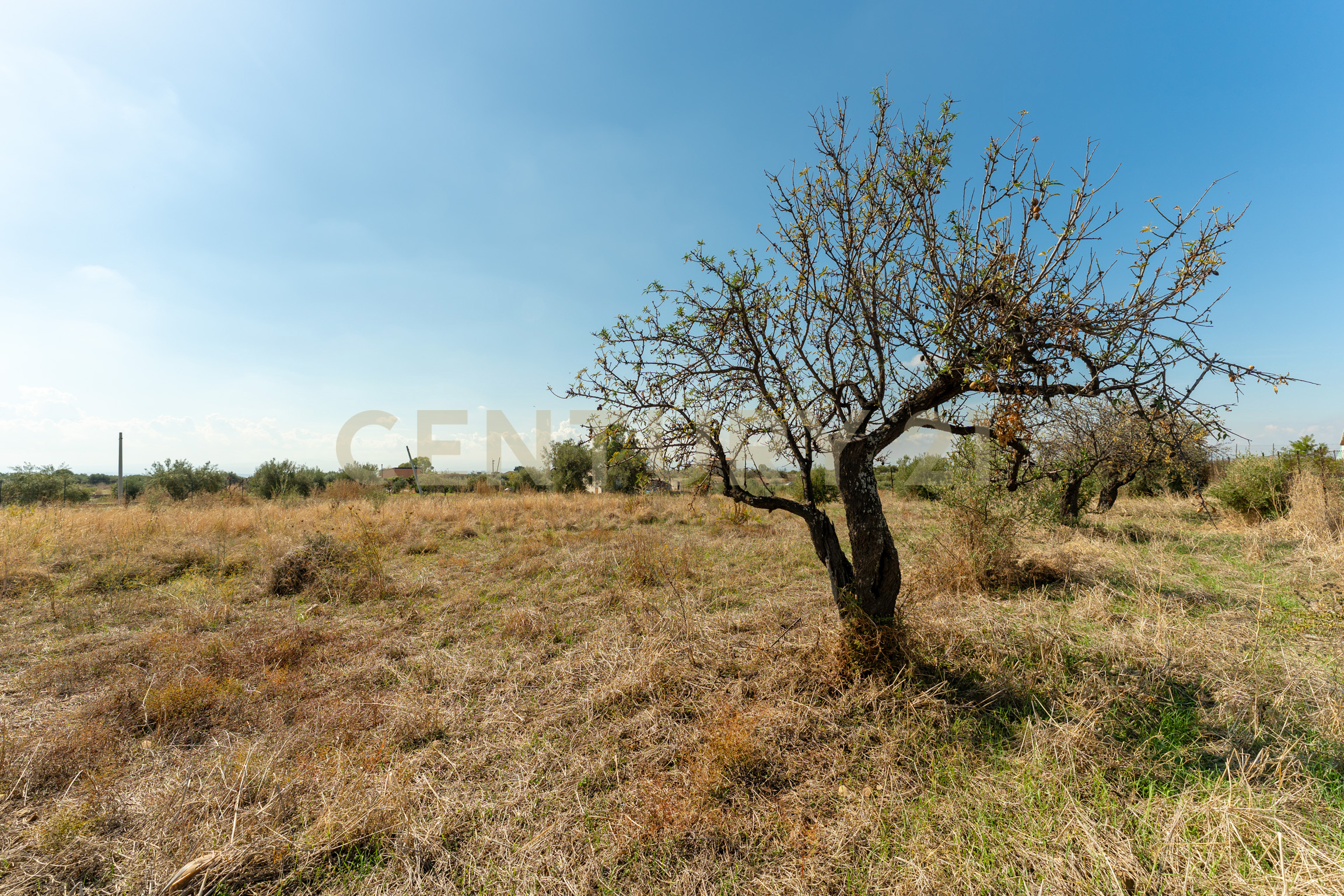 Terreno Agricolo in vendita in via margarone 5, Motta Sant'Anastasia