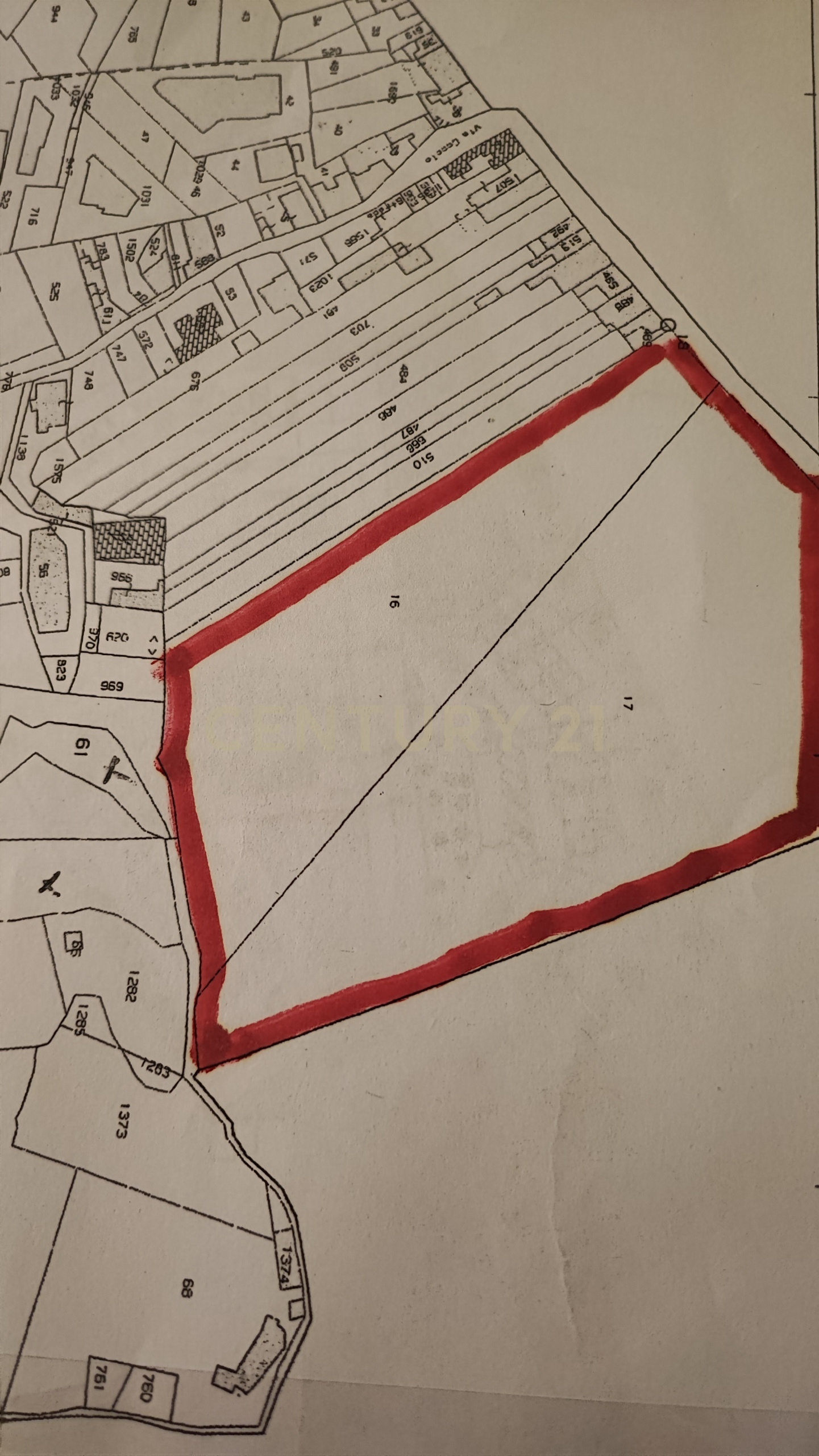 Terreno Agricolo in affitto a Catania