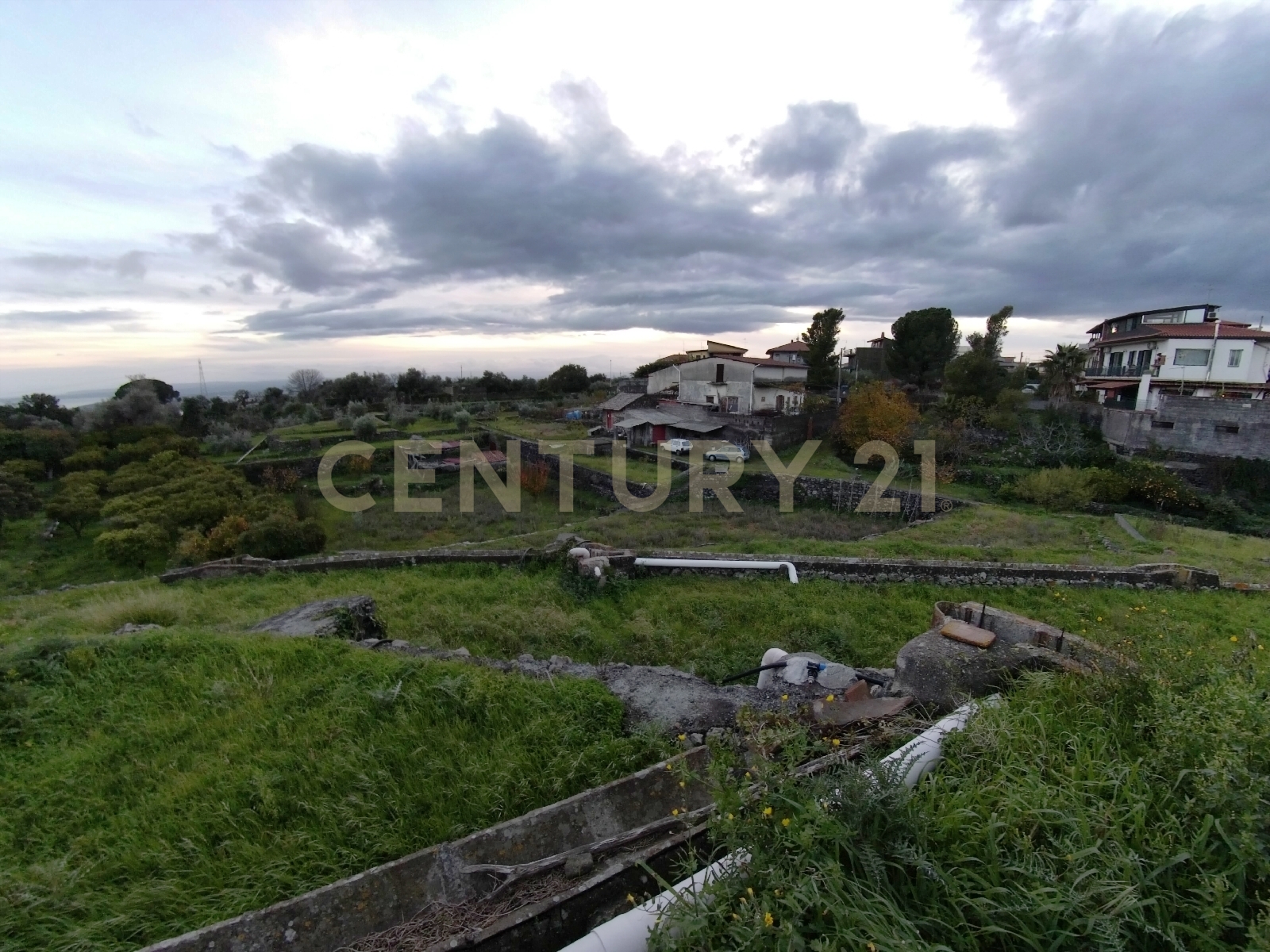 Terreno Agricolo in affitto a Catania