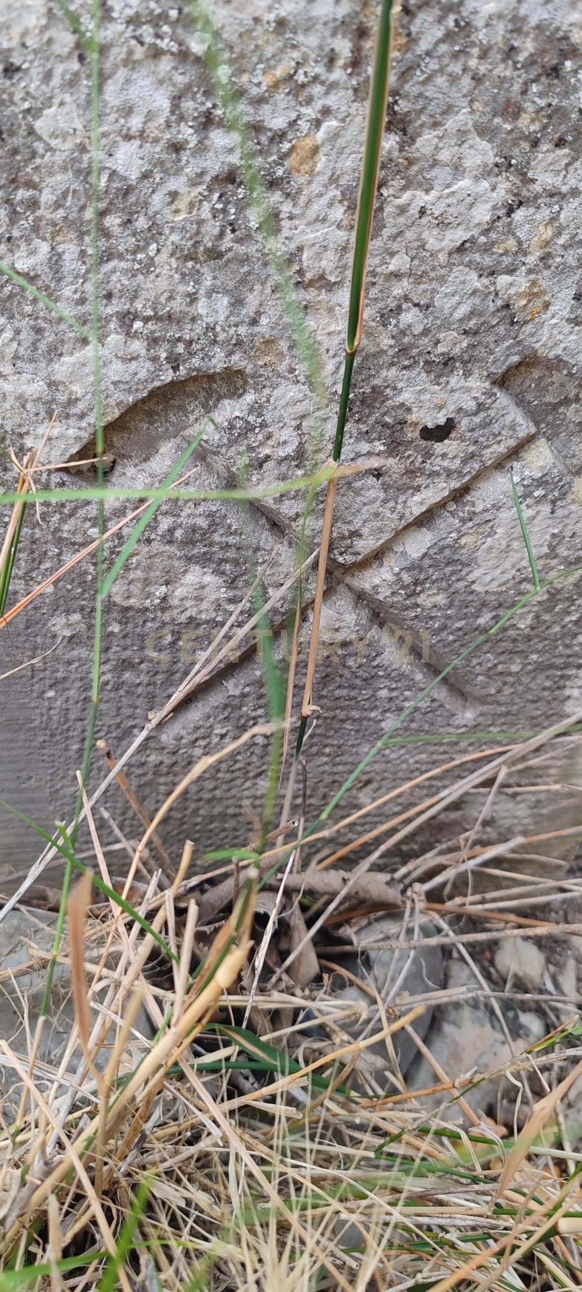 Rustico con giardino in ss115 km 323, Ragusa