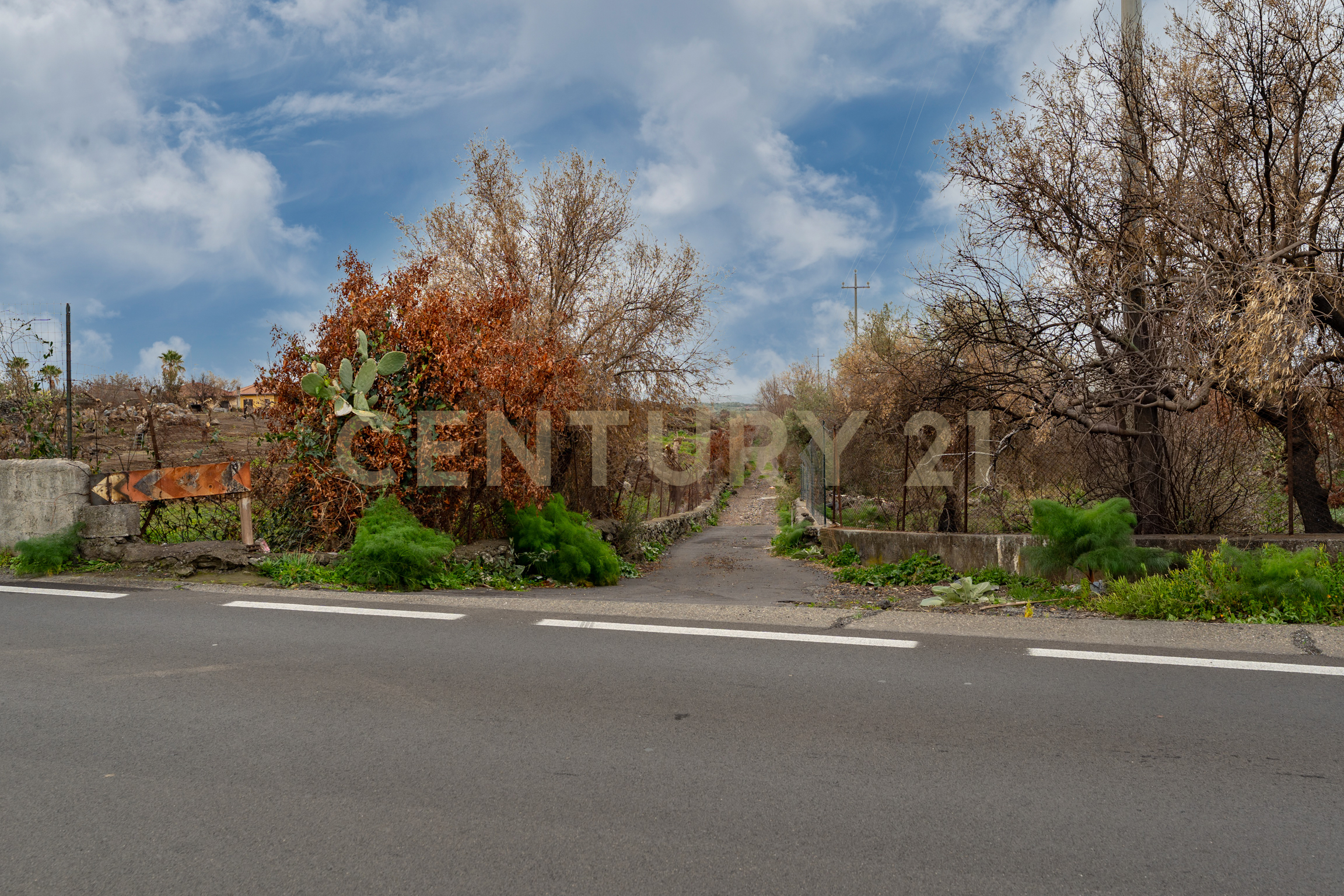 immagine annuncio 2 di 6