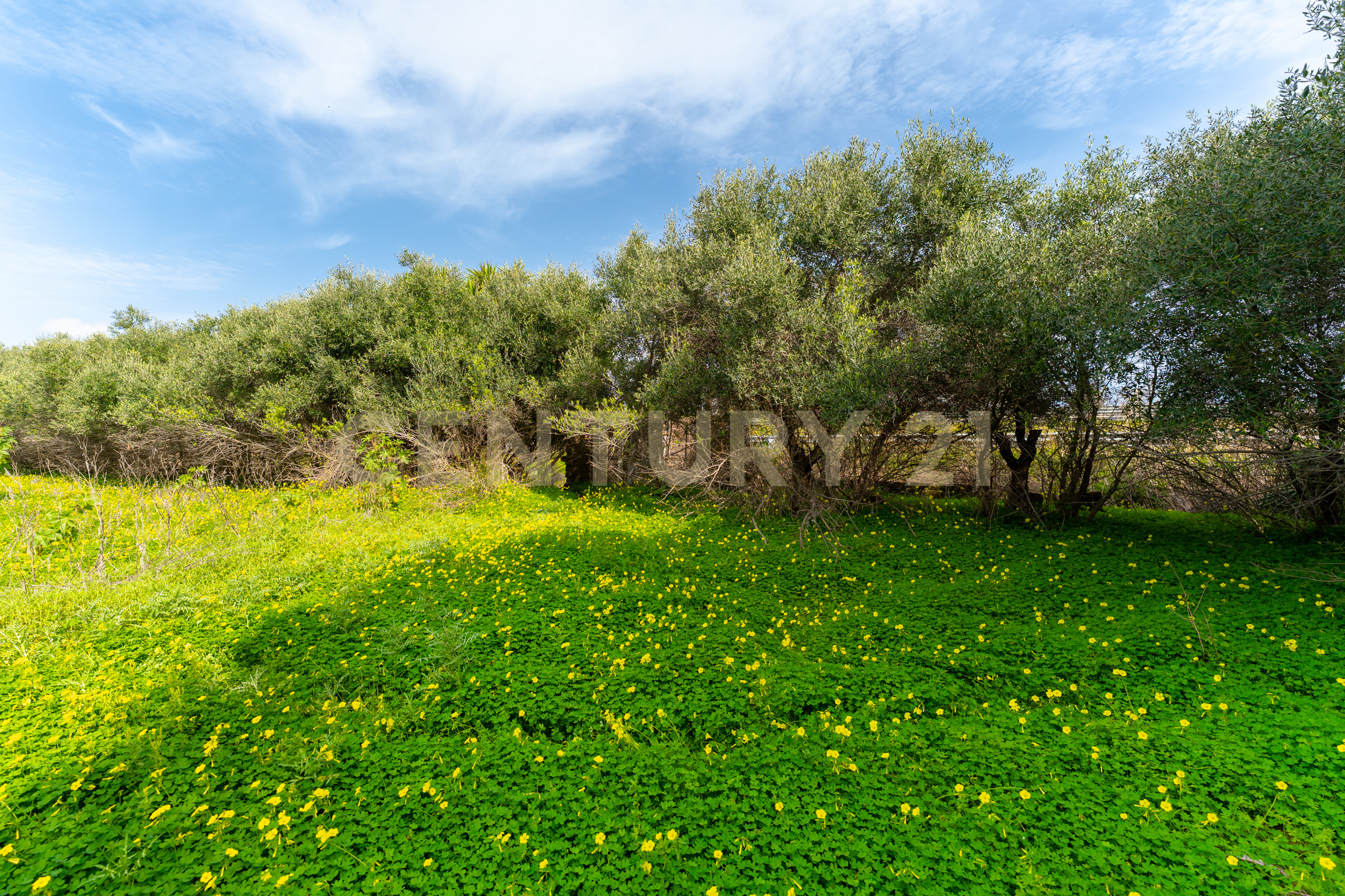Terreno Agricolo in vendita in contrada vaccarizzo, Catania