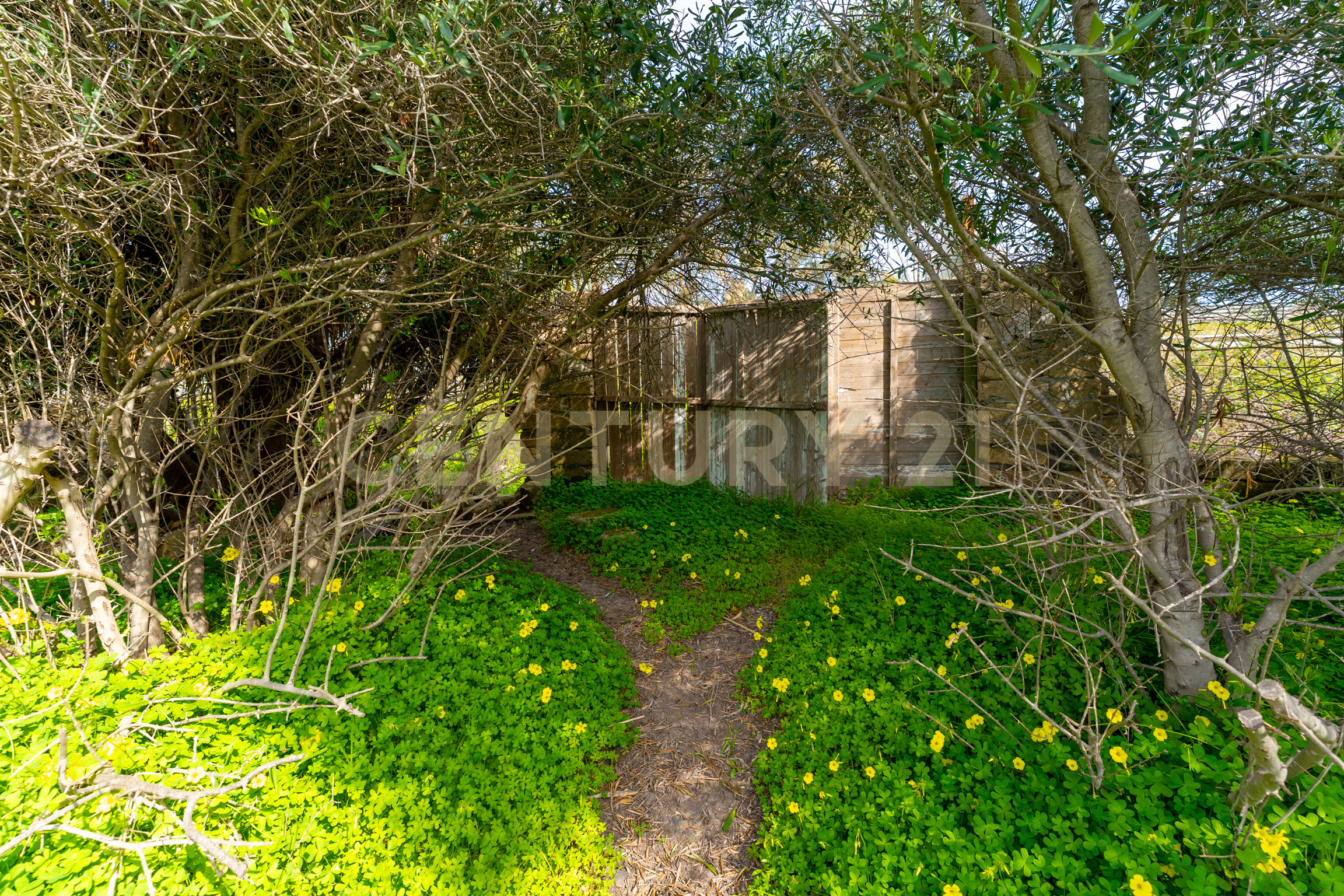 Terreno Agricolo in vendita in contrada vaccarizzo, Catania
