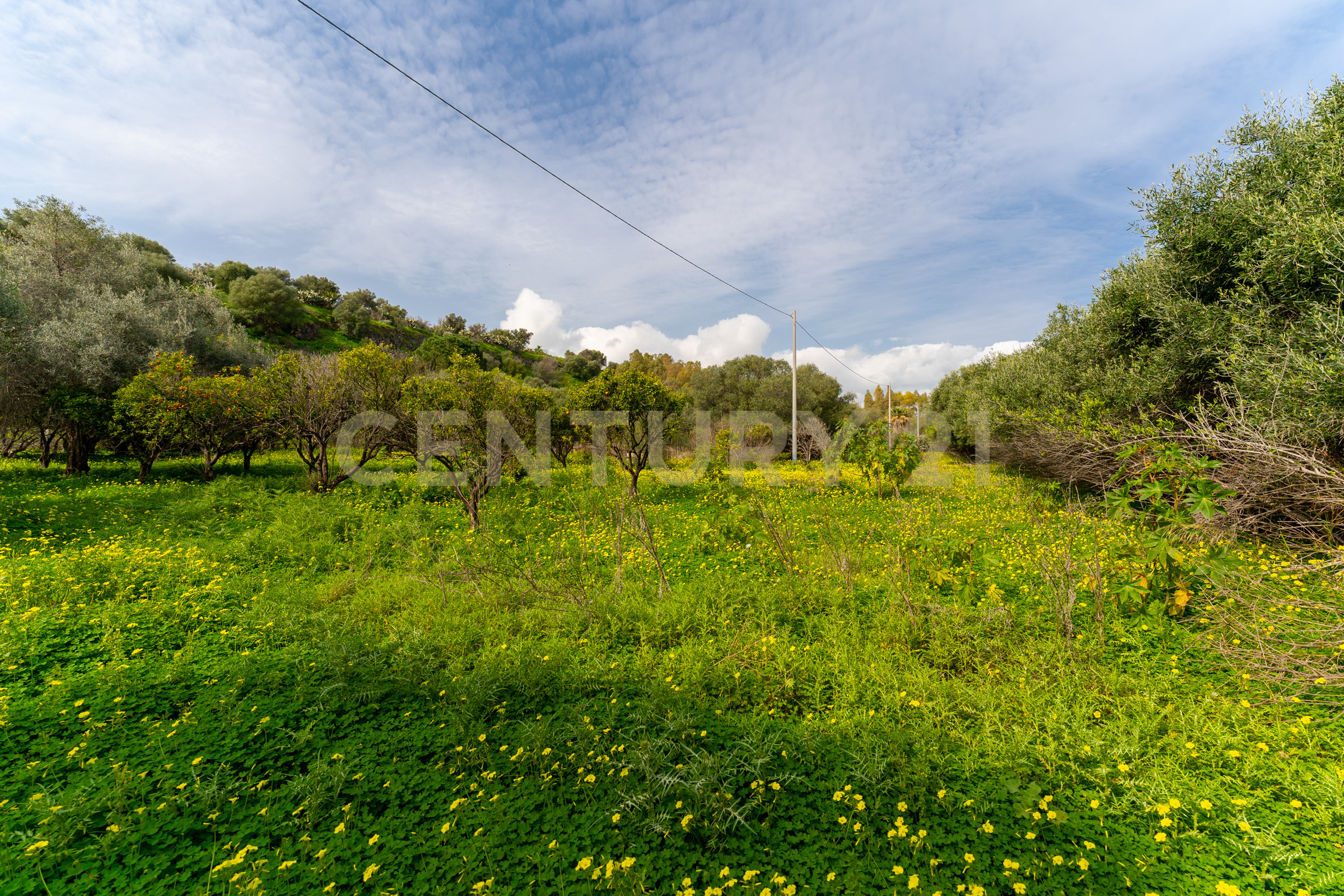 Terreno Agricolo in vendita in contrada vaccarizzo, Catania
