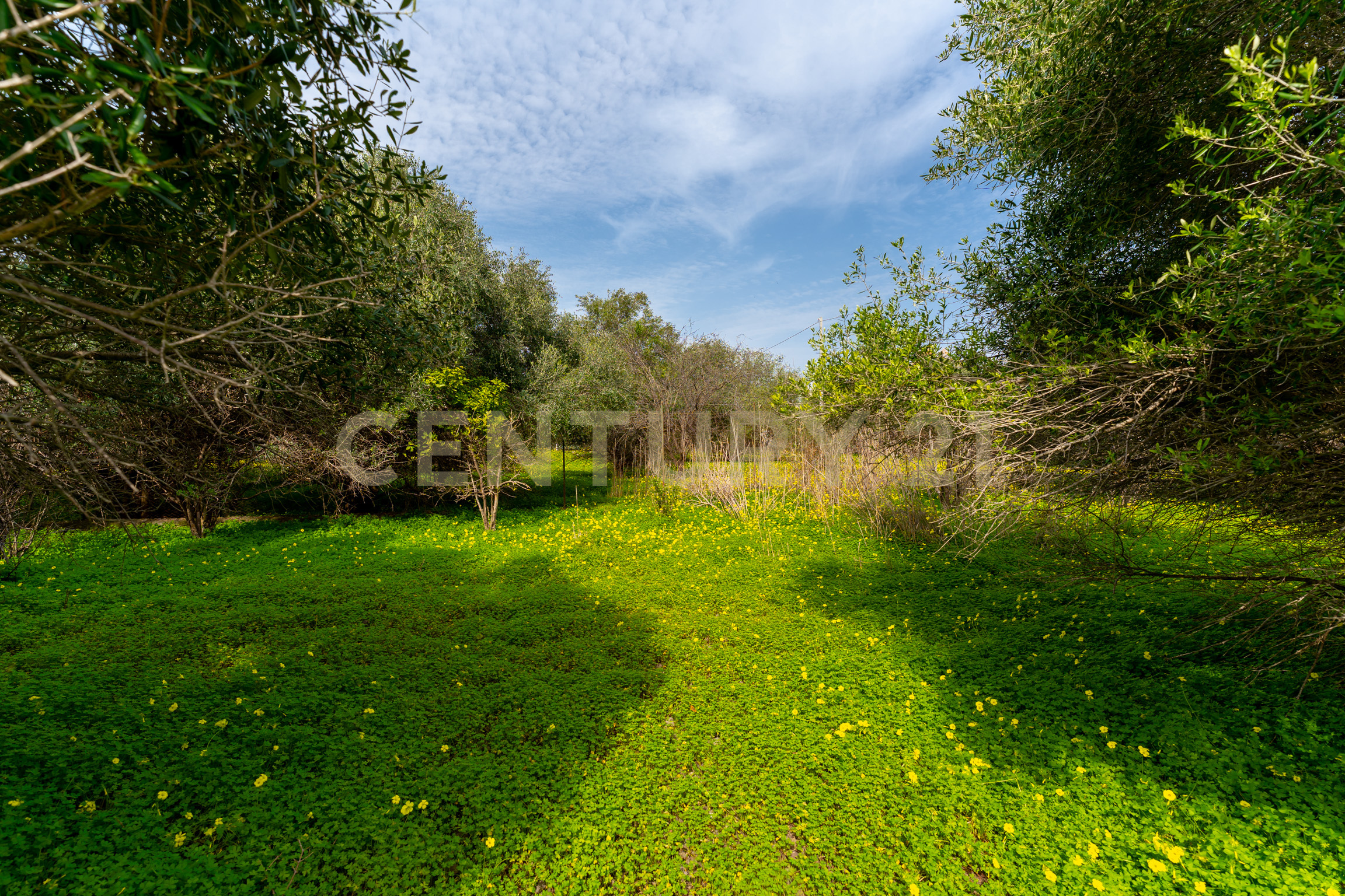 Terreno Agricolo in vendita in contrada vaccarizzo, Catania