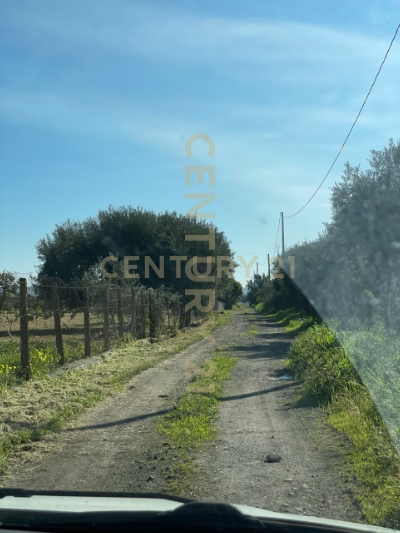 Terreno Agricolo in vendita in contrada agnelleria, Belpasso