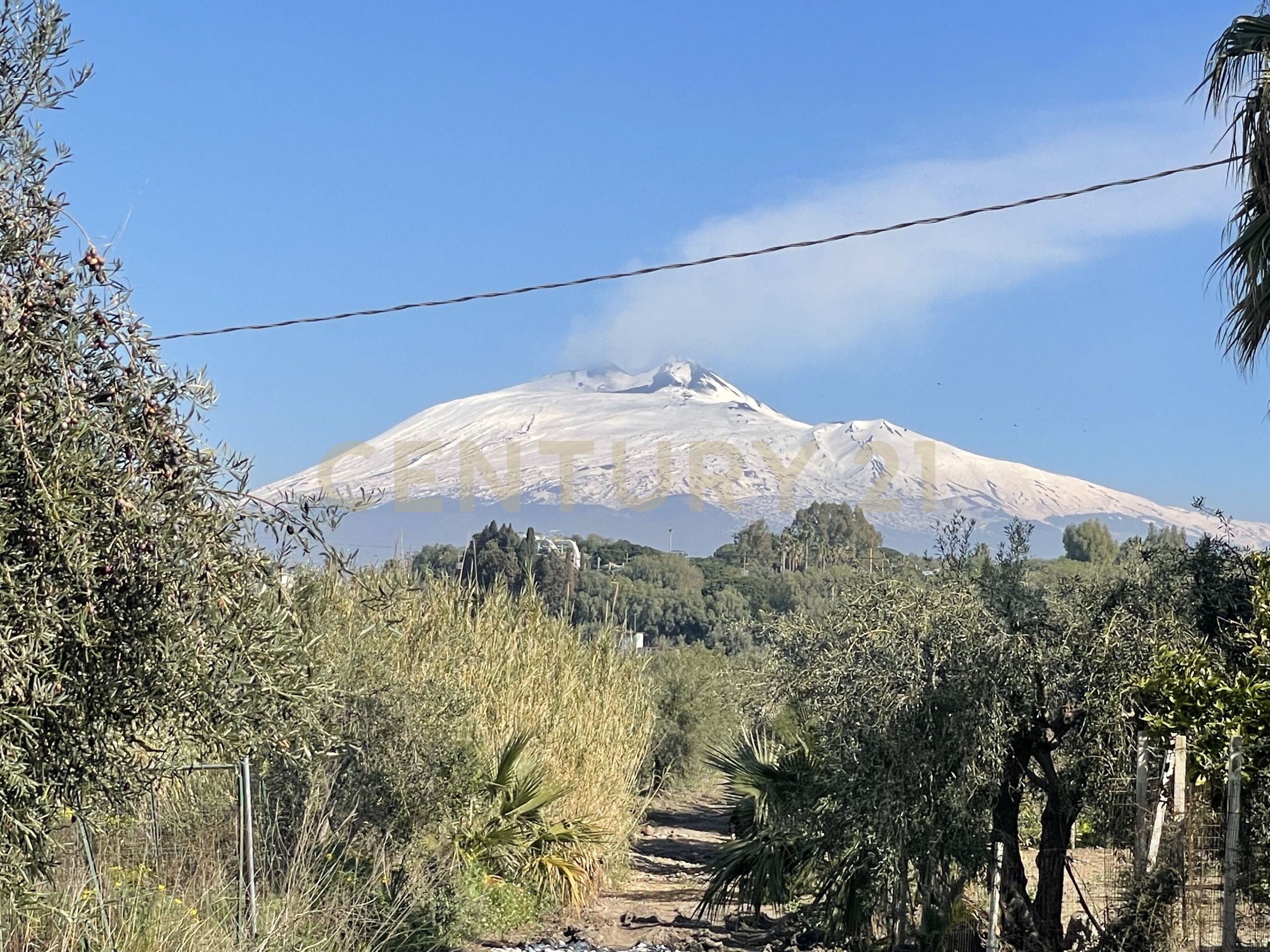 Terreno Agricolo in vendita in contrada agnelleria, Belpasso