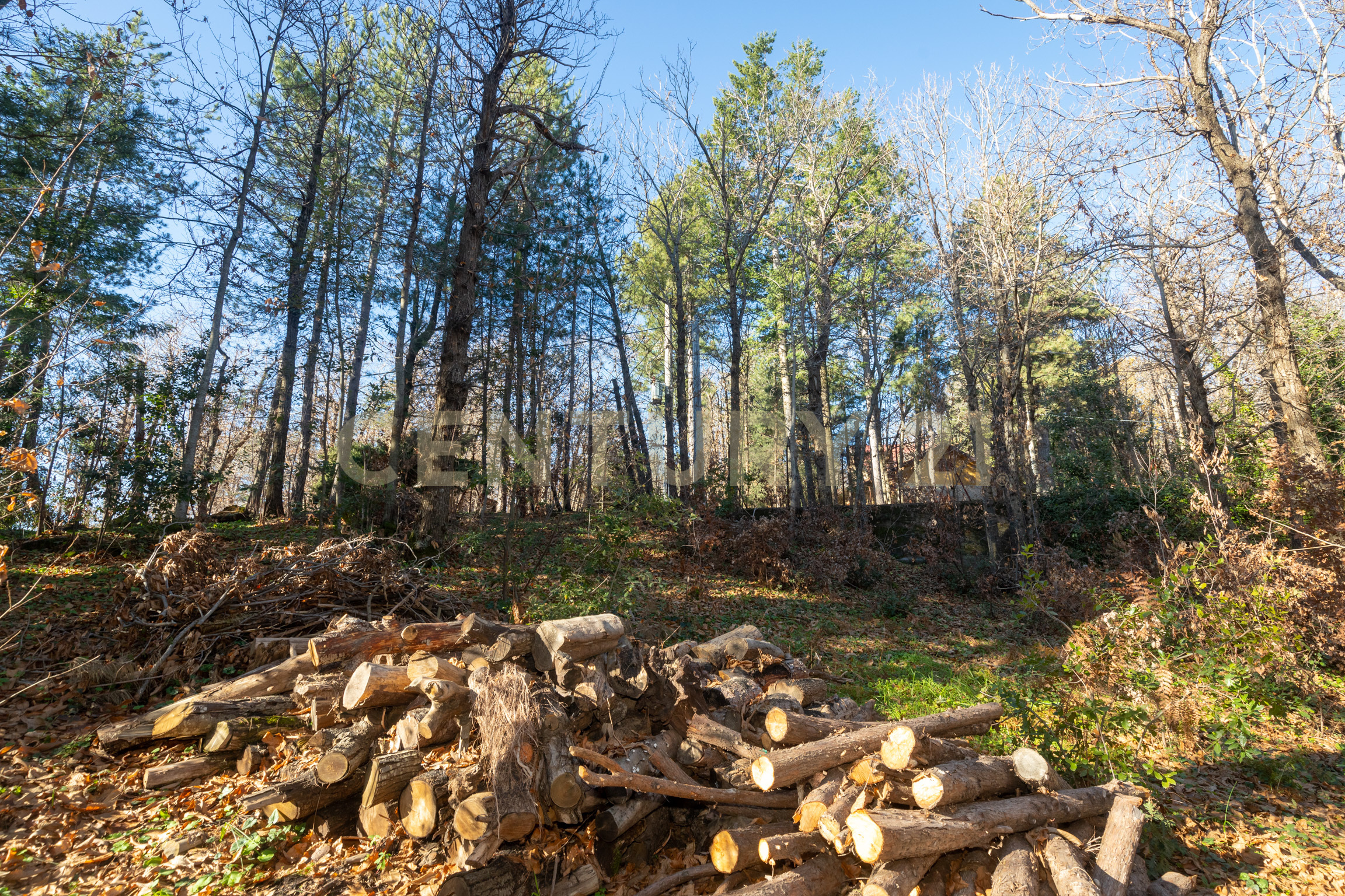 Villa con giardino in via della regione 70, Pedara