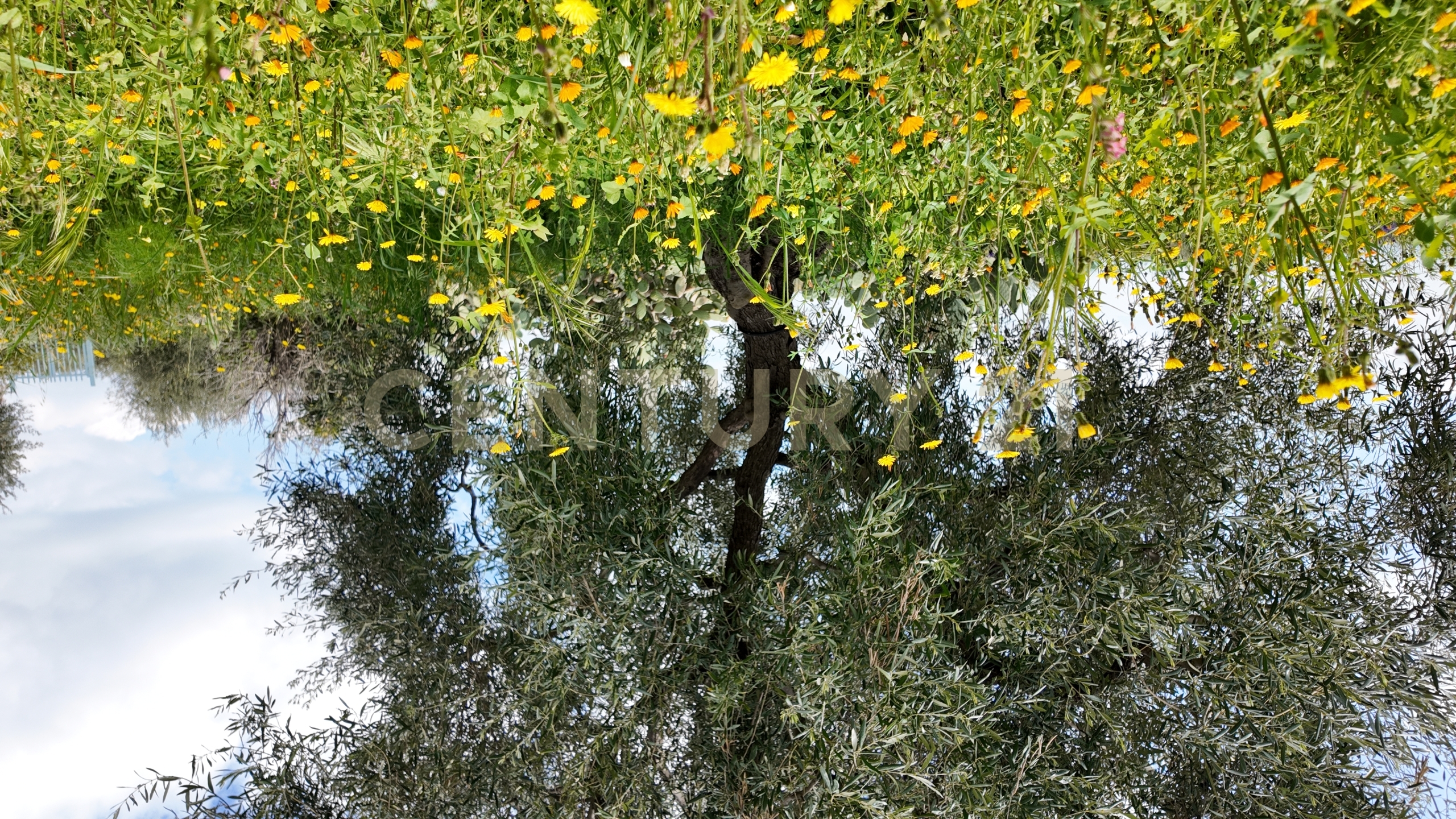 Terreno Agricolo in vendita in contrada malvezzaro, Santa Maria di Licodia