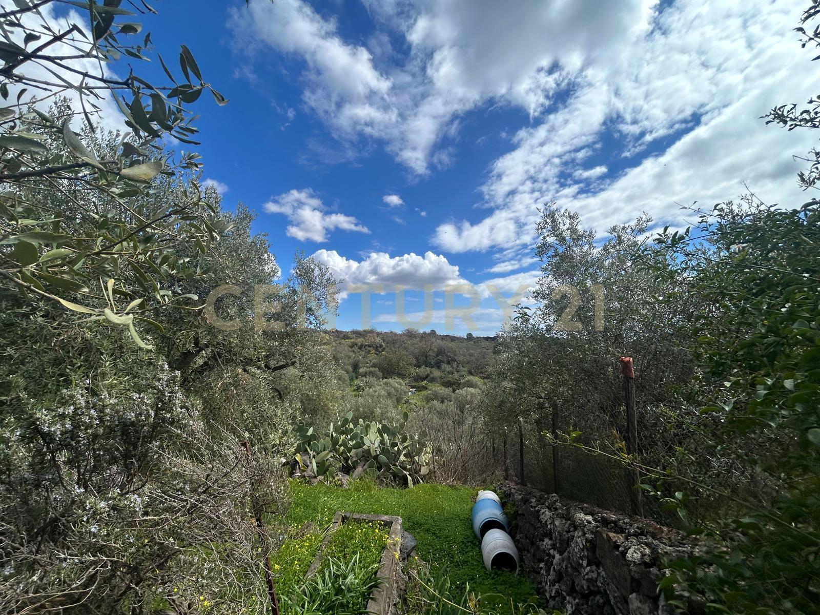 Terreno Edificabile nuovo in viale giovanni falcone 9, Camporotondo Etneo