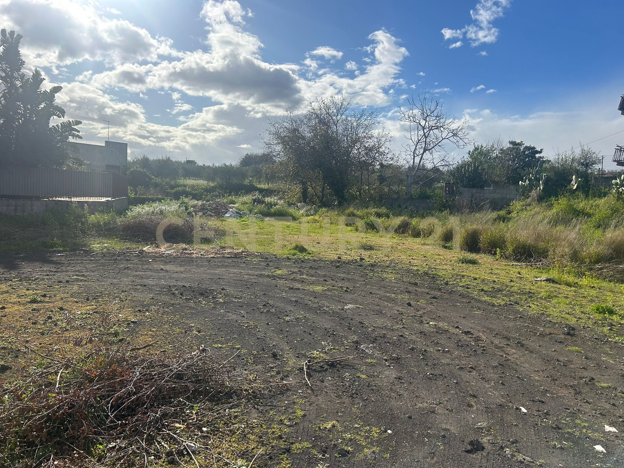 immagine annuncio 1 di 6