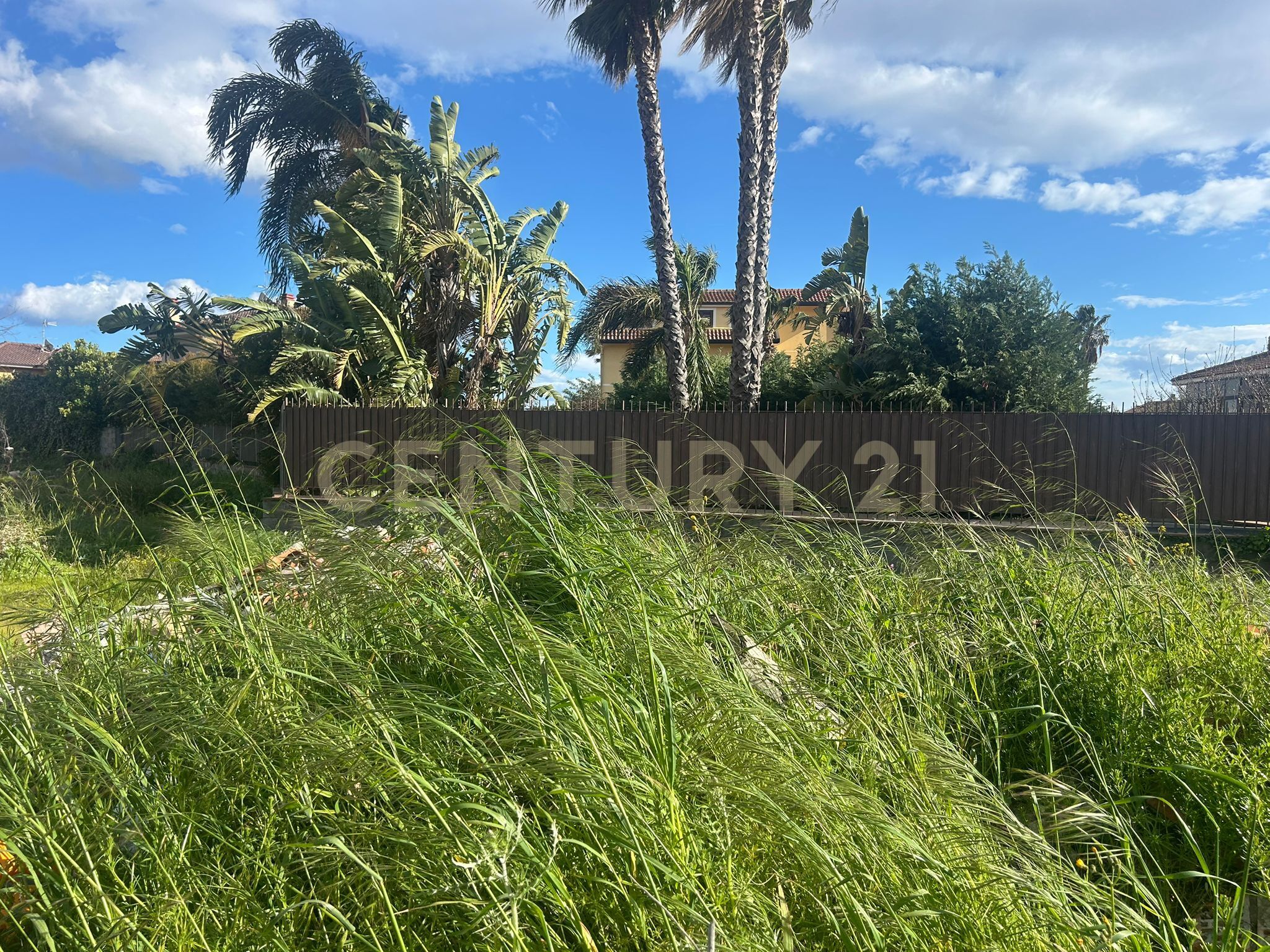 immagine annuncio 4 di 6