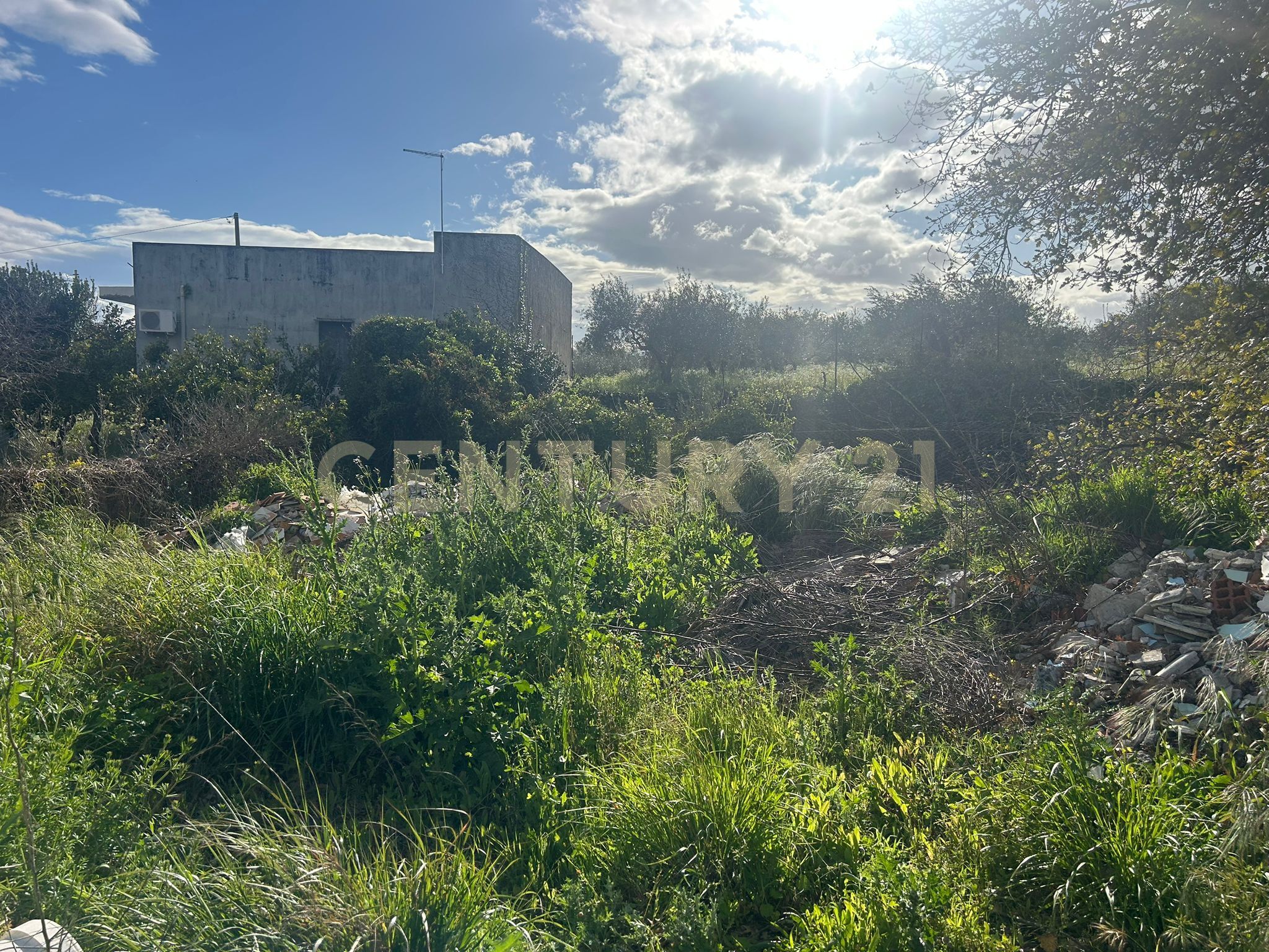 immagine annuncio 5 di 6