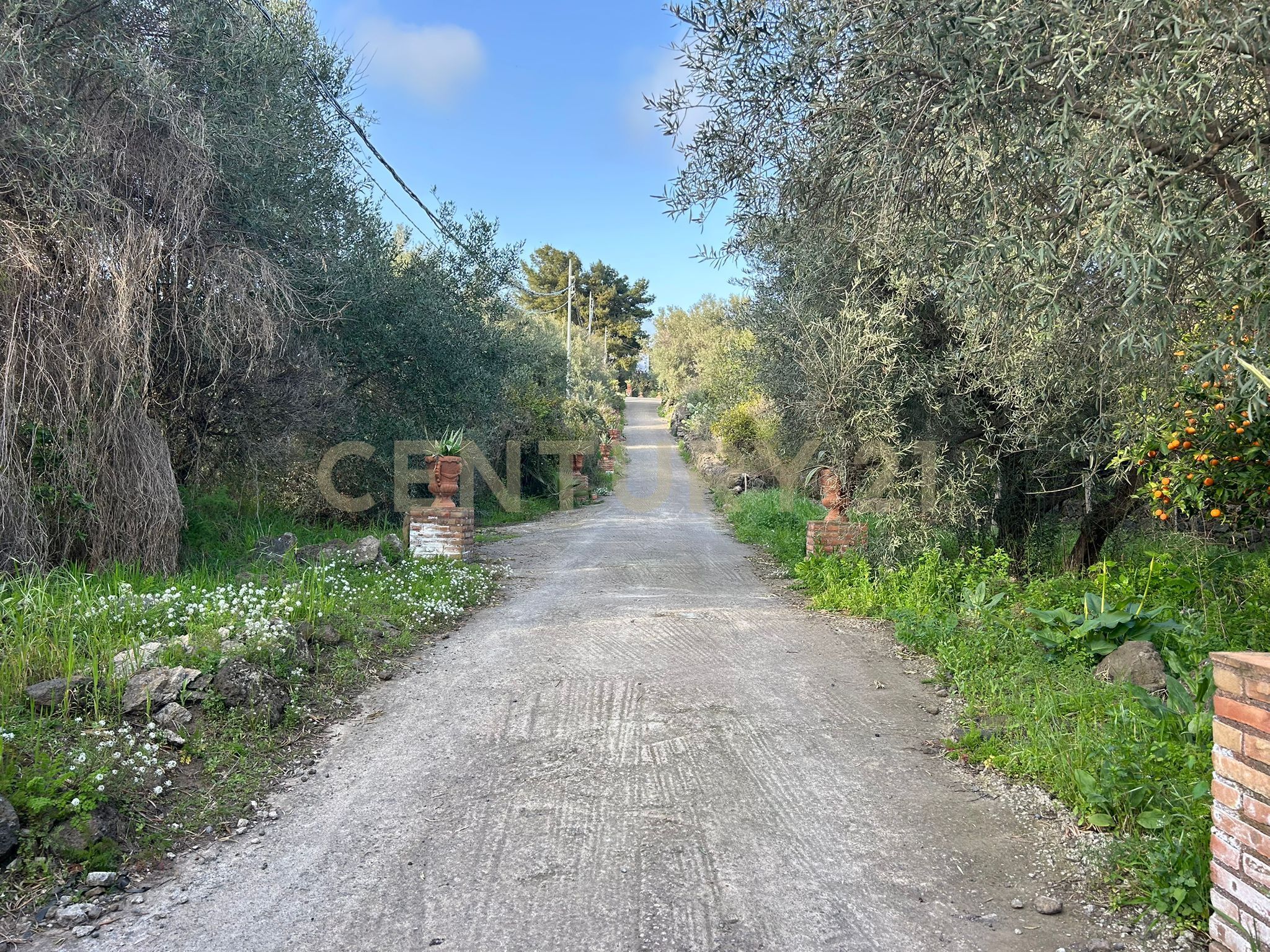 Terreno Agricolo in vendita in via giovanni verga 1/a, Misterbianco