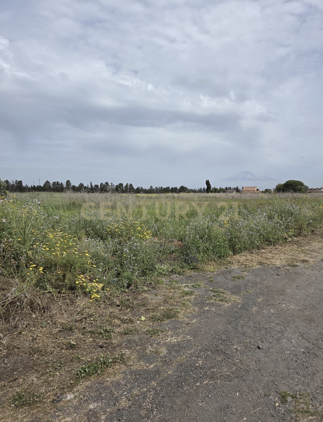 Terreno Agricolo in vendita in via cavallo marino, Catania