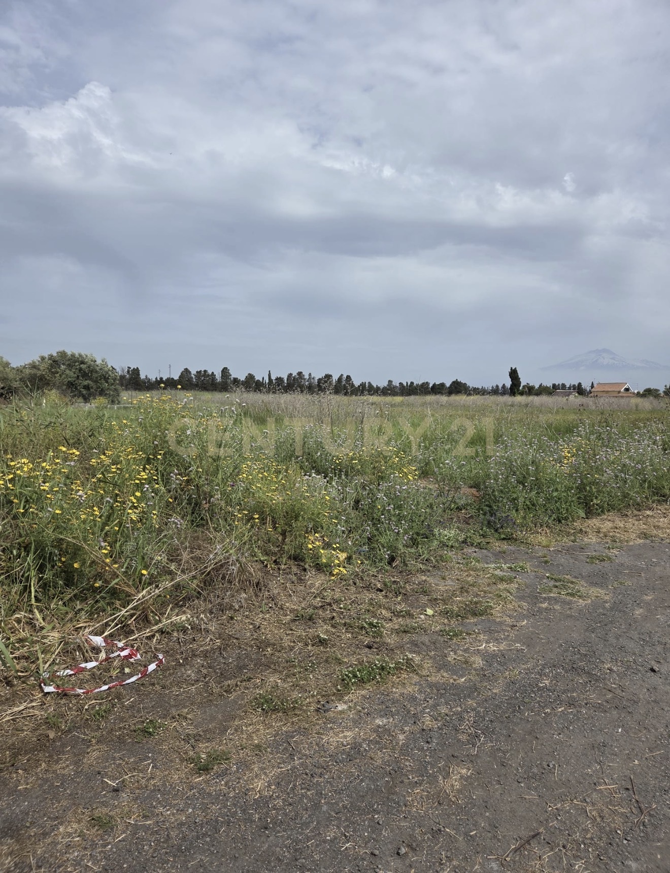 Terreno Agricolo in vendita in via cavallo marino, Catania