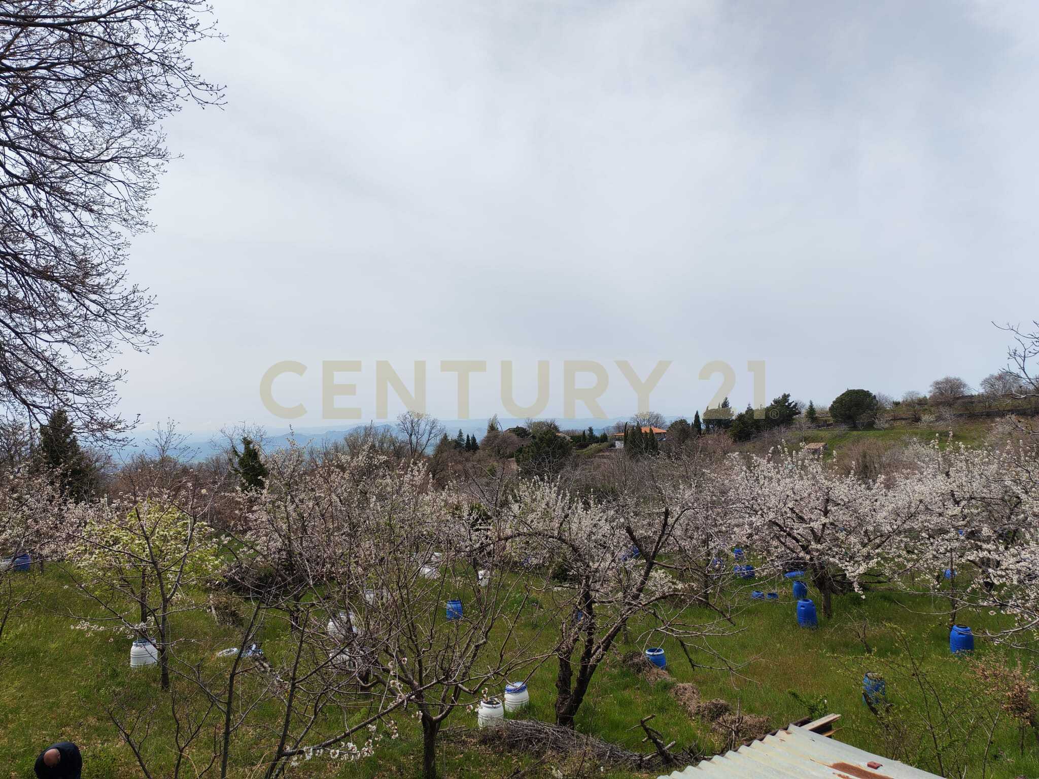 Terreno Agricolo in vendita a Catania