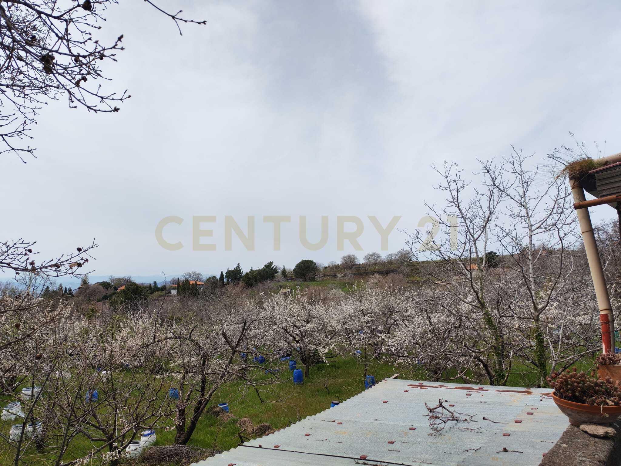 Terreno Agricolo in vendita a Catania