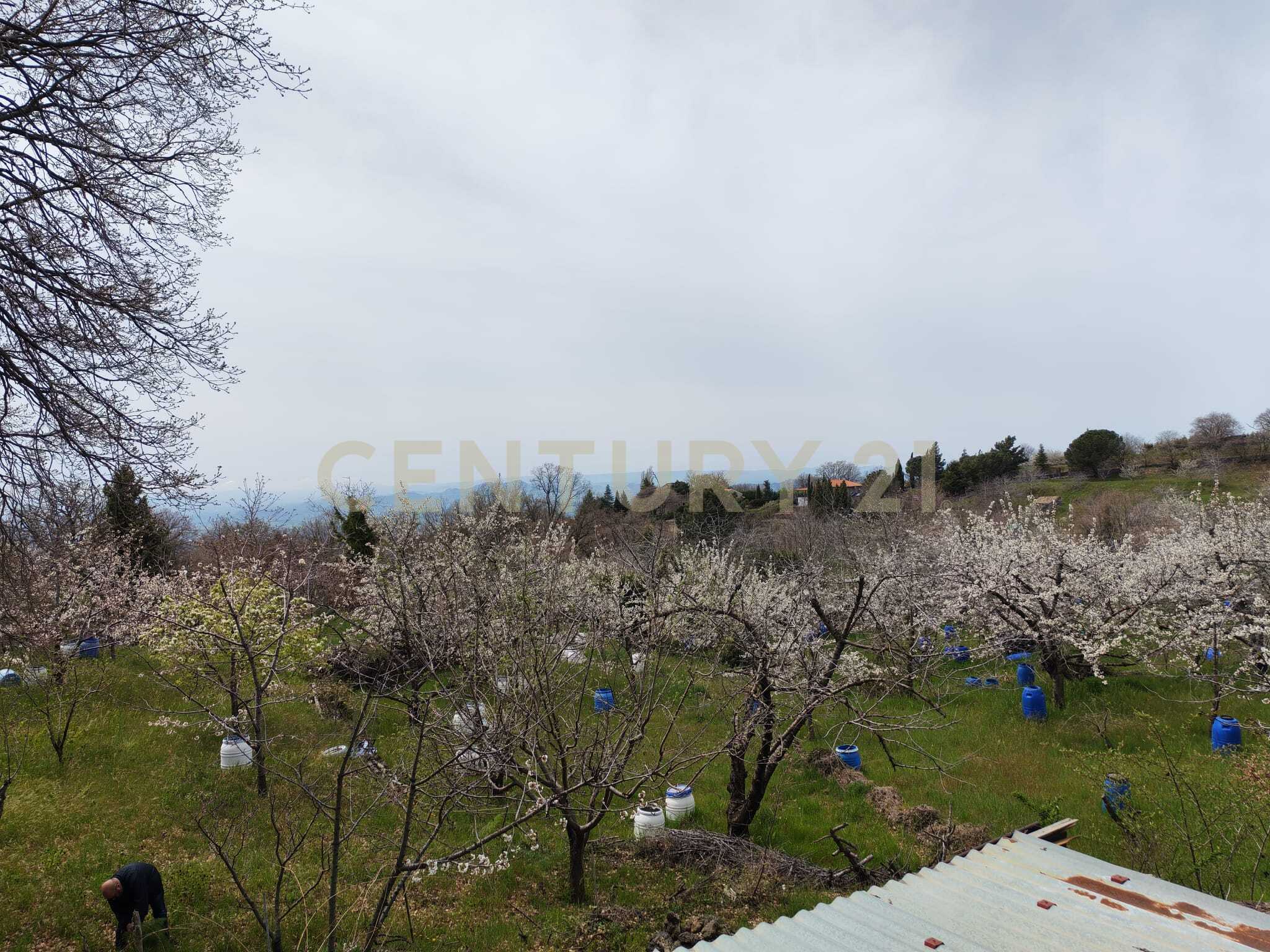 Terreno Agricolo in vendita a Catania