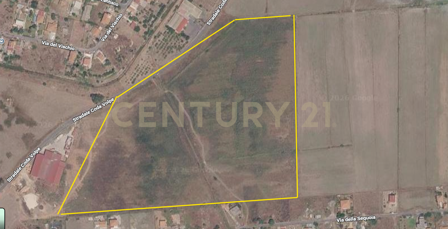 Terreno Agricolo in vendita in via del fior di loto 53, Catania