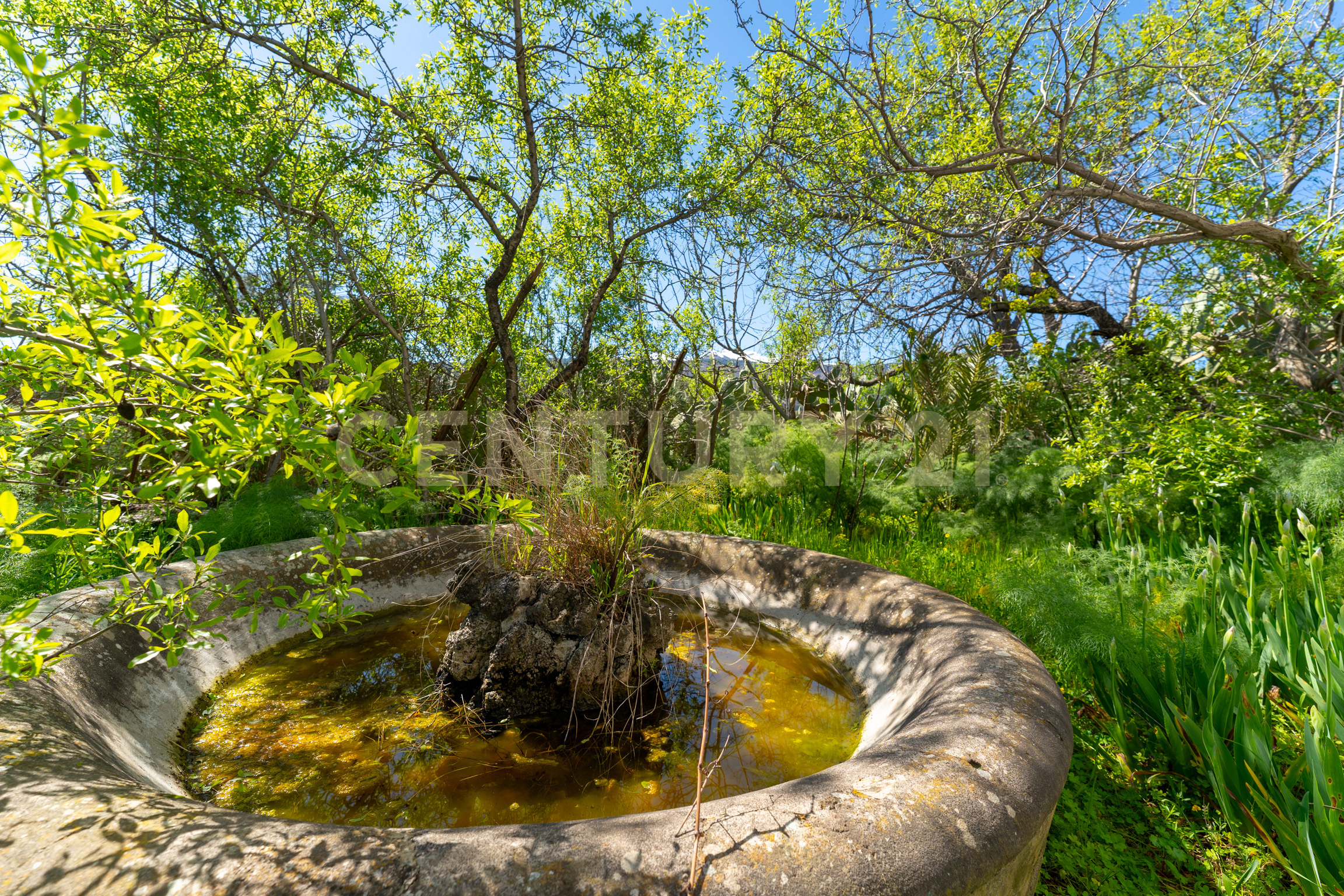 Villa con giardino in via panebianco 20, Castiglione di Sicilia