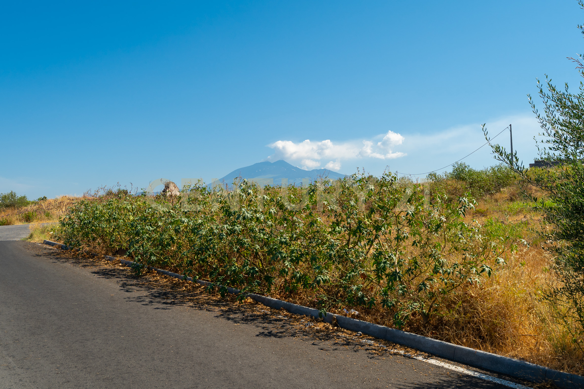 Terreno Industriale in vendita in vico igino giordani, Patern�