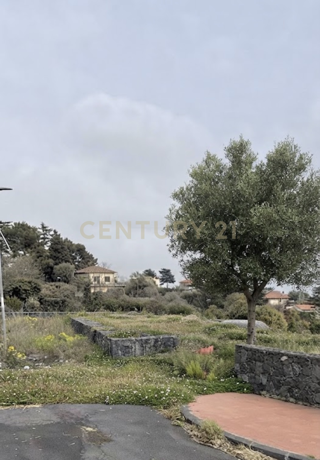 Terreno Agricolo in vendita in via indirizzo 11, Viagrande