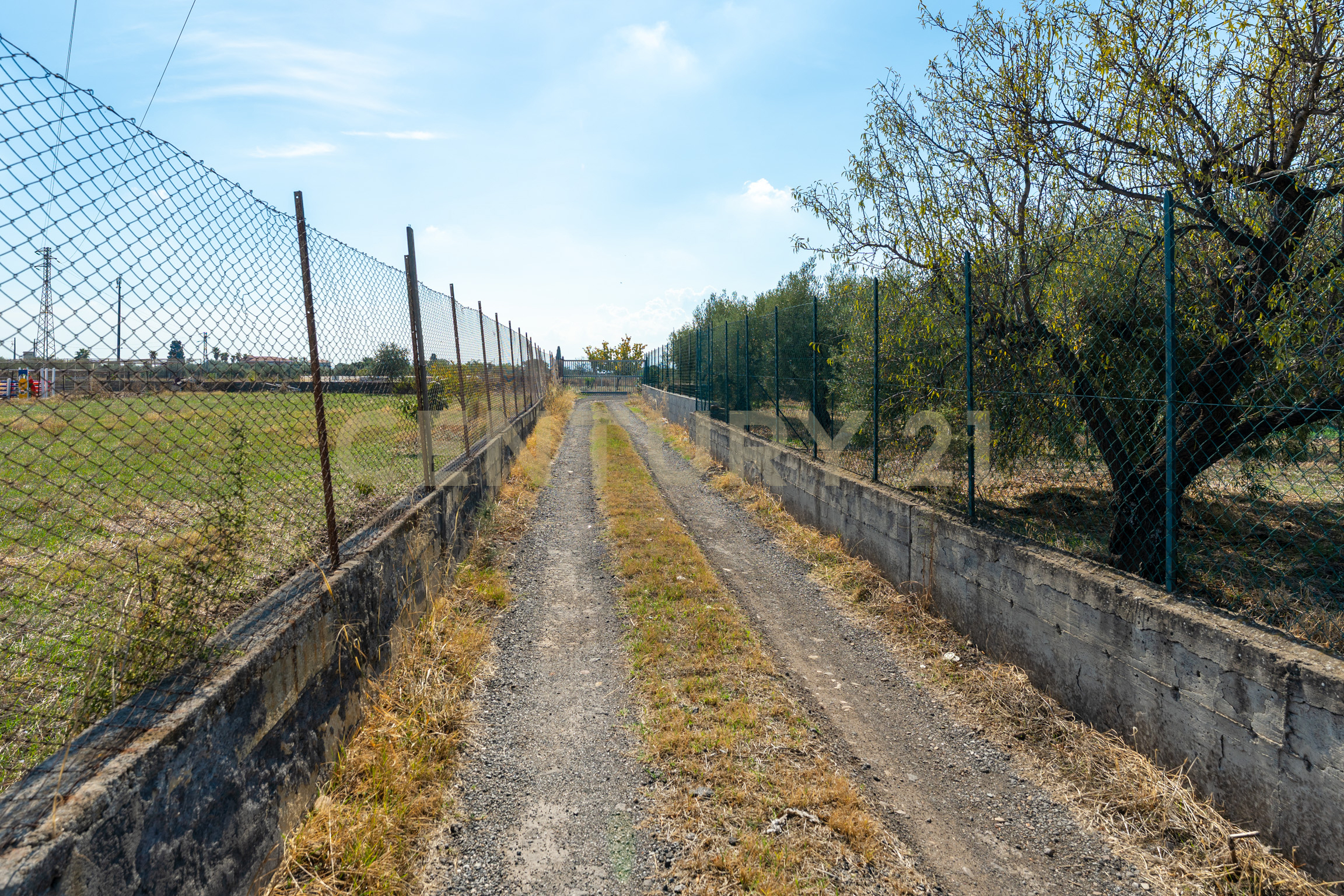 Terreno Agricolo in vendita in via margarone 5, Motta Sant'Anastasia