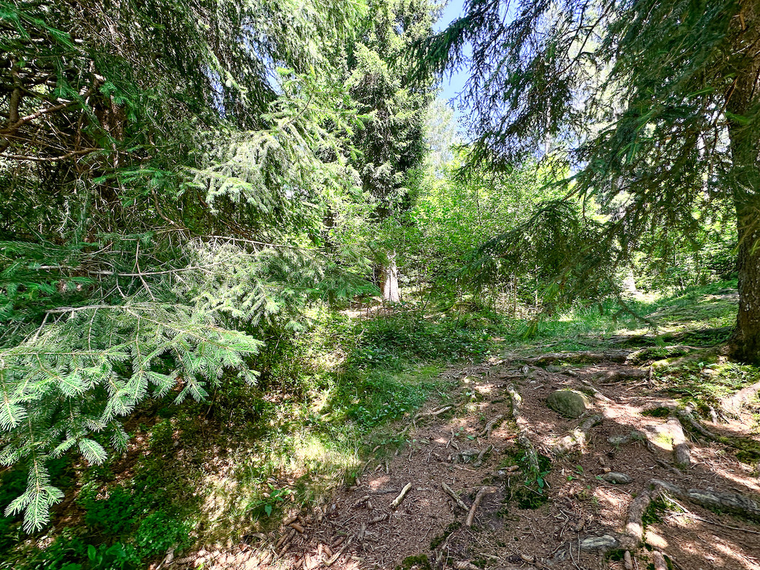 Terreno in vendita a Collio, Memmo