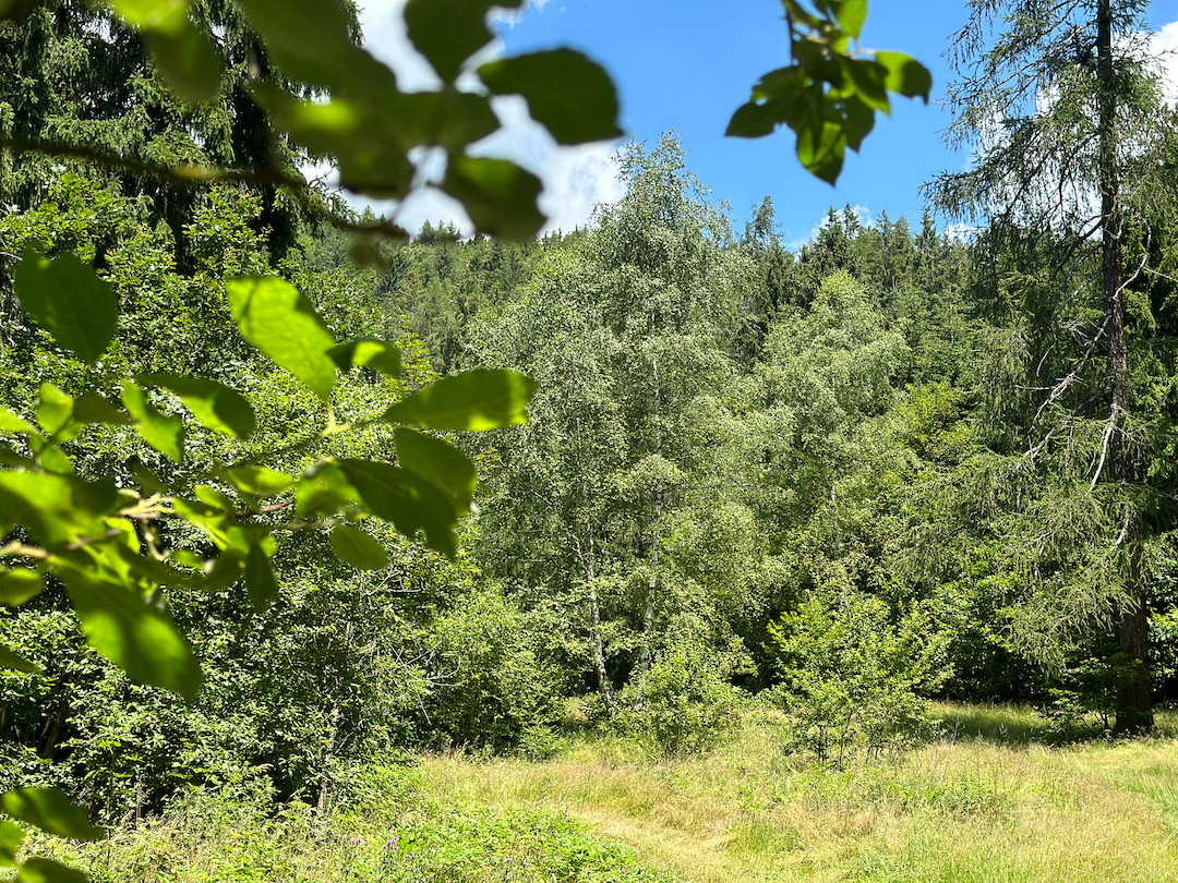 Terreno in vendita a Collio, Memmo