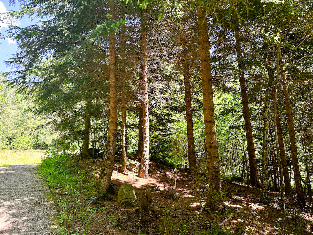 Terreno in vendita a Collio, Memmo