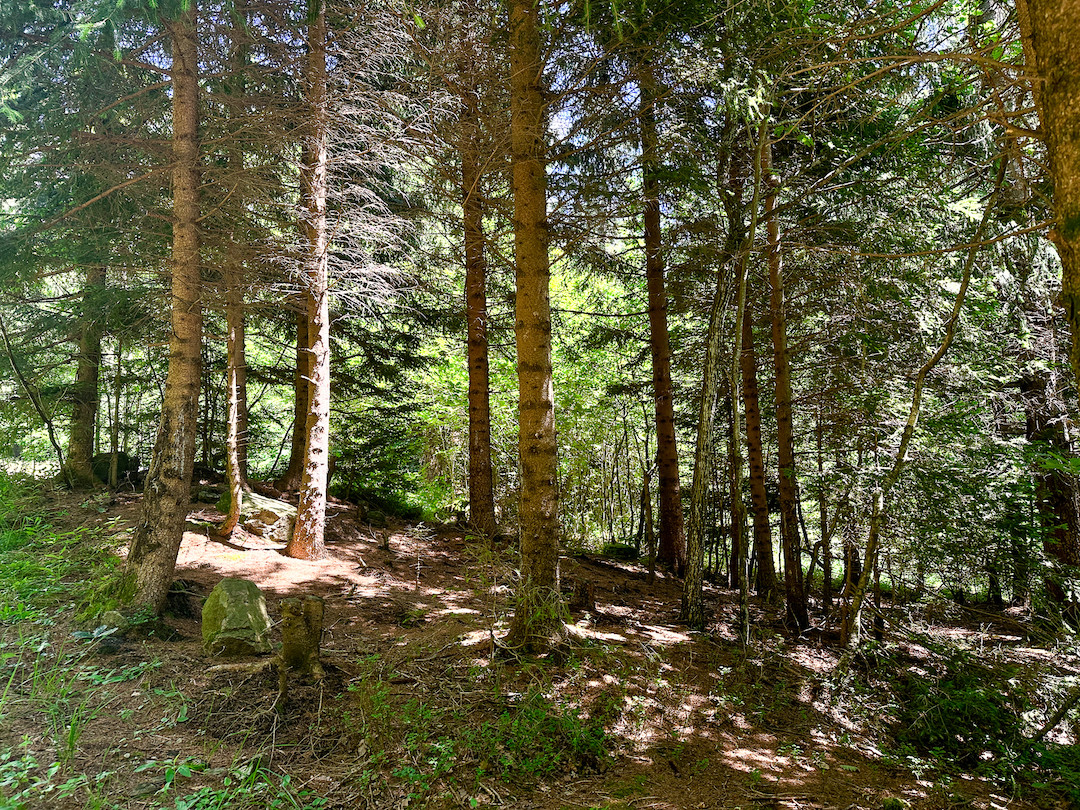 Terreno in vendita a Collio, Memmo