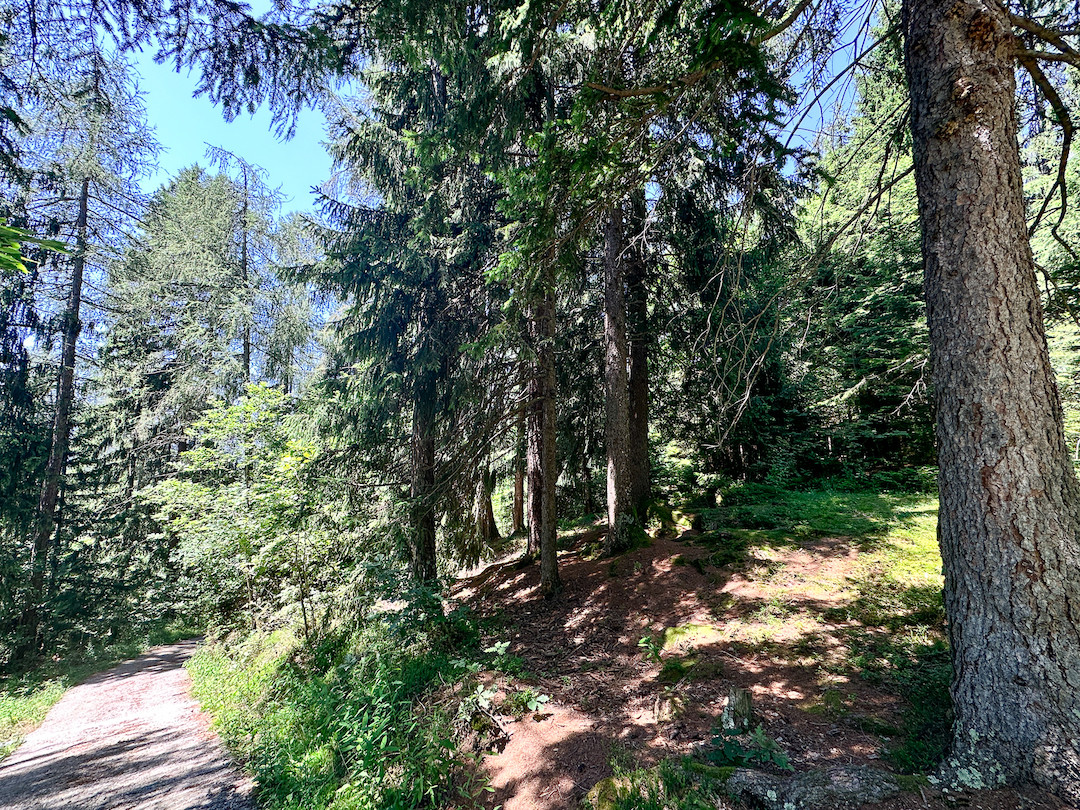 Terreno in vendita a Collio, Memmo