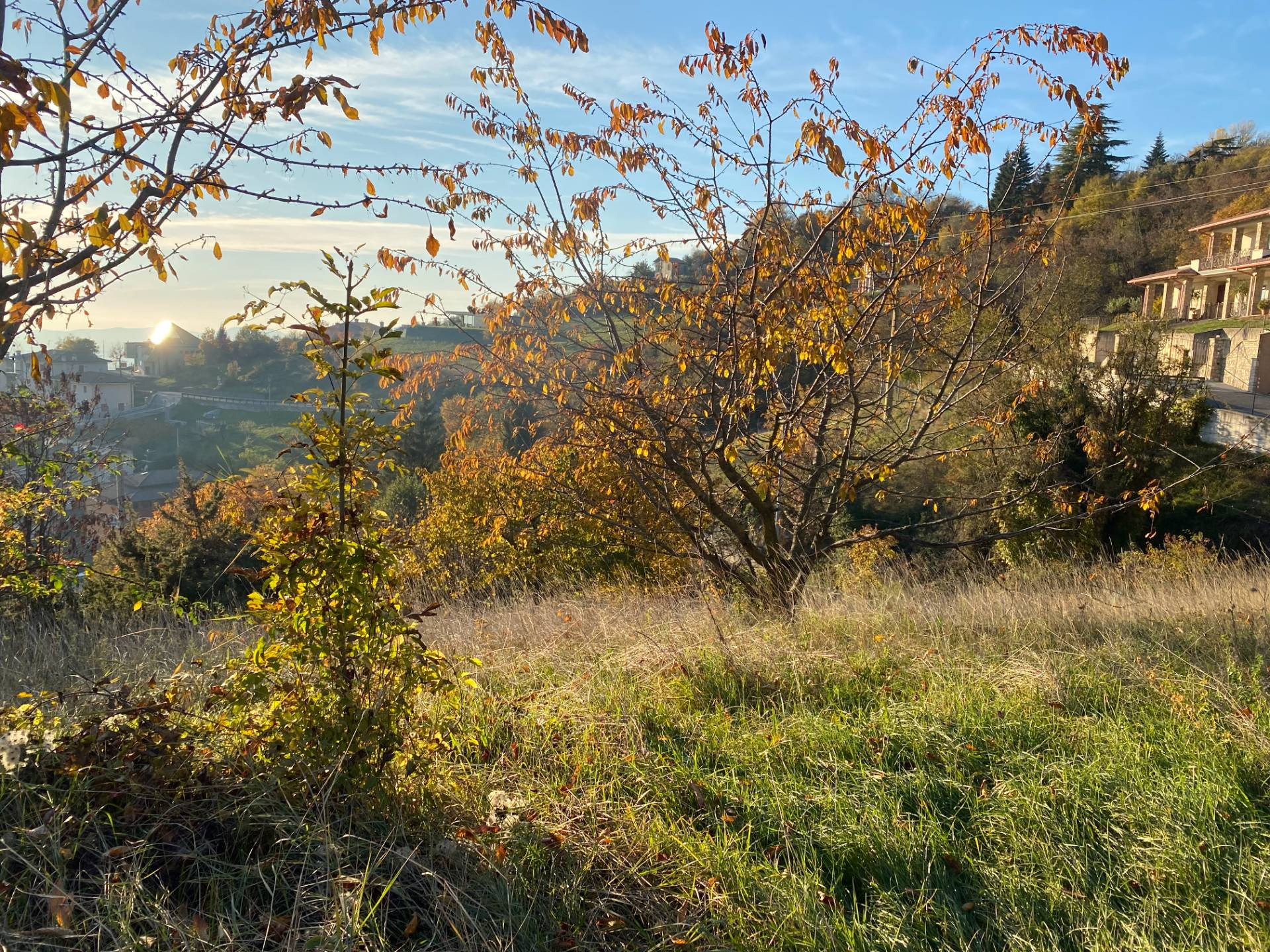 Terreno Edificabile in vendita a Brione
