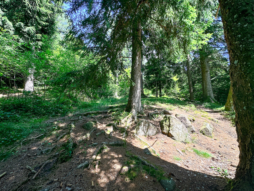 Terreno in vendita a Collio, Memmo