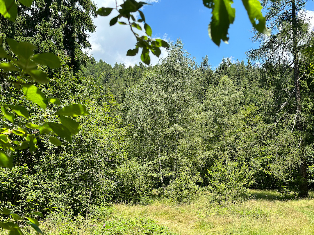 Terreno in vendita a Collio, Memmo