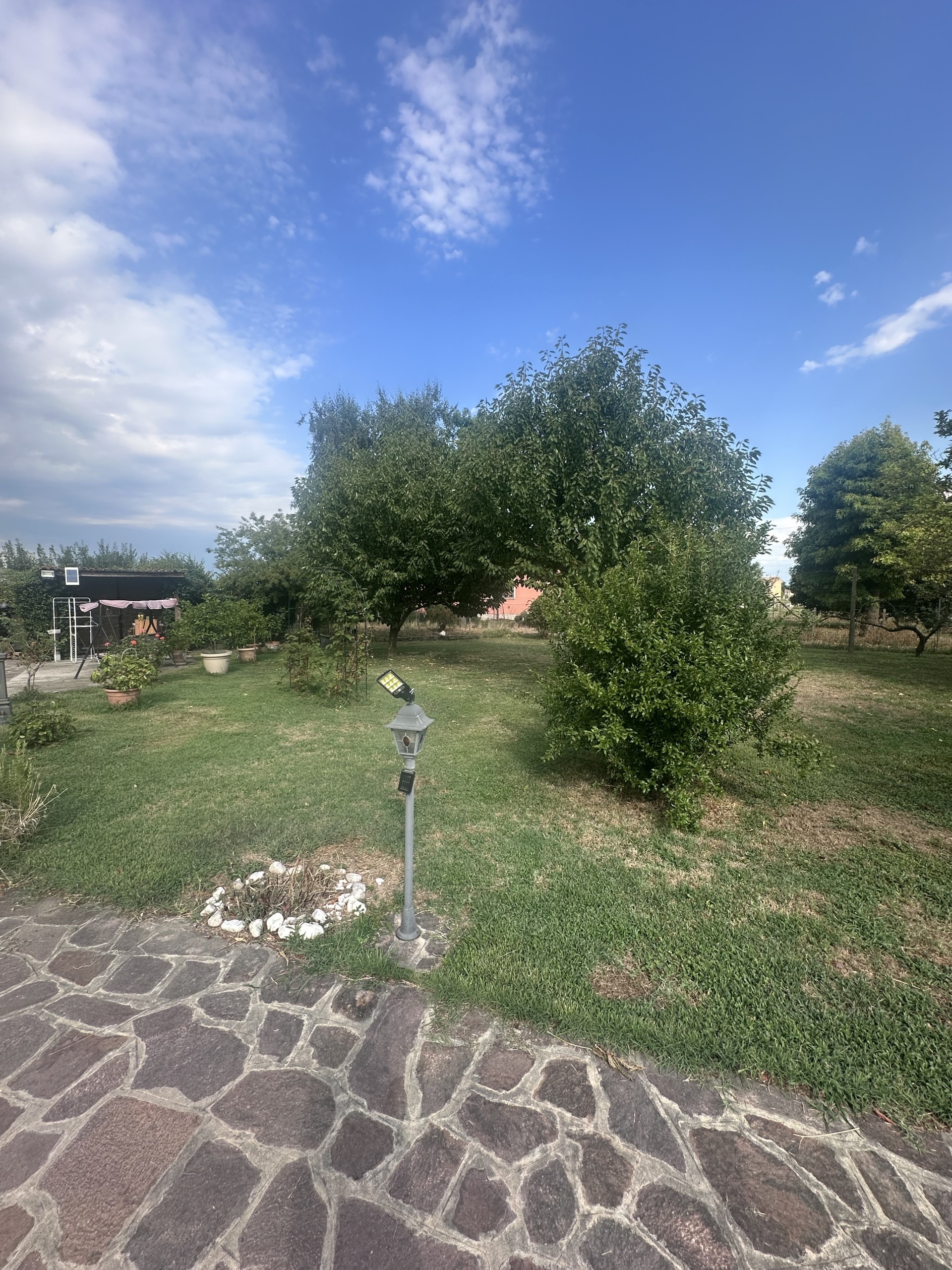 immagine annuncio 5 di 6