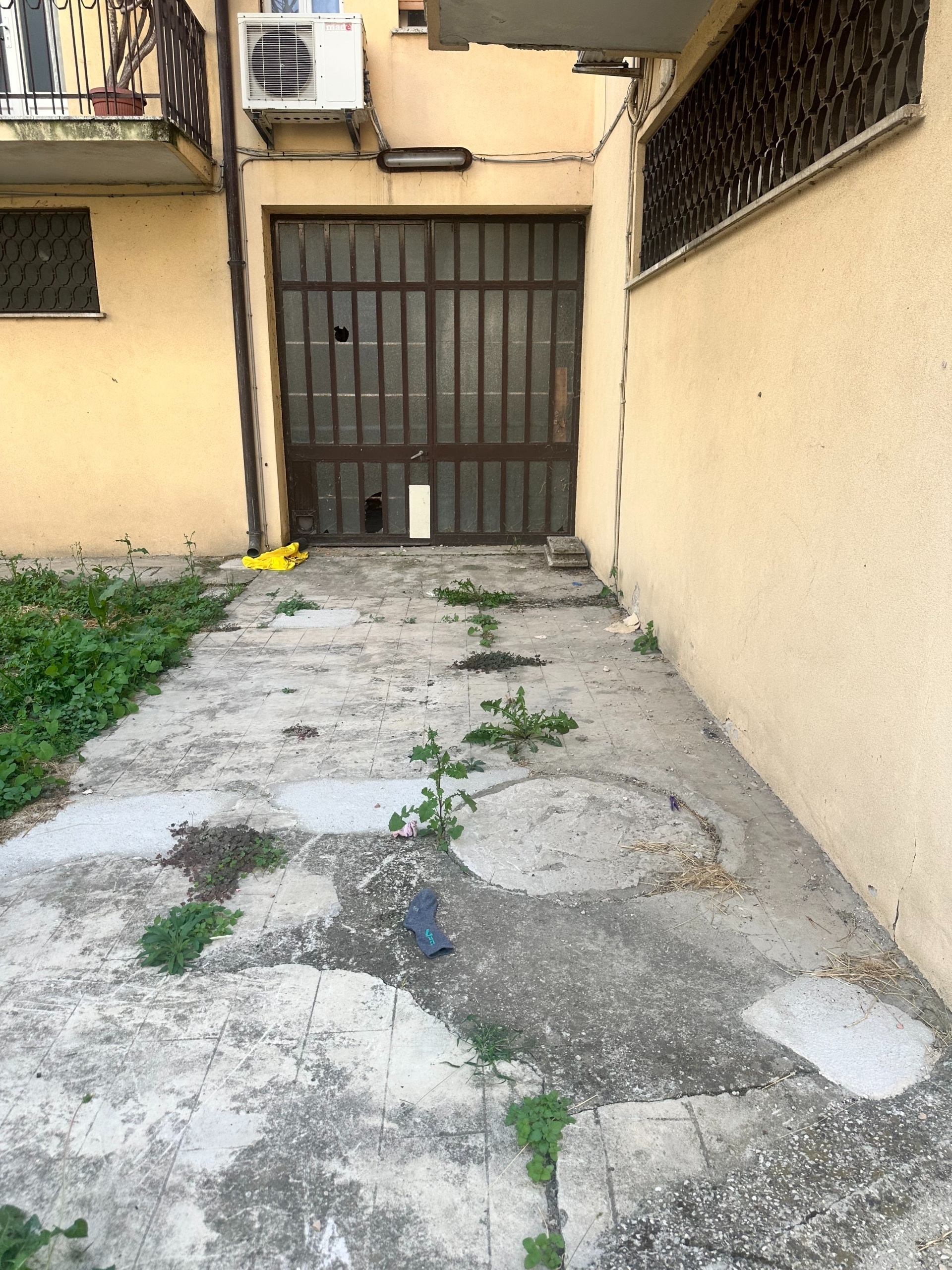 Magazzino con giardino a Rovigo